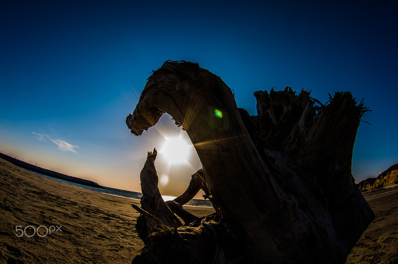 Pentax K-5 IIs sample photo. Shadow monster photography