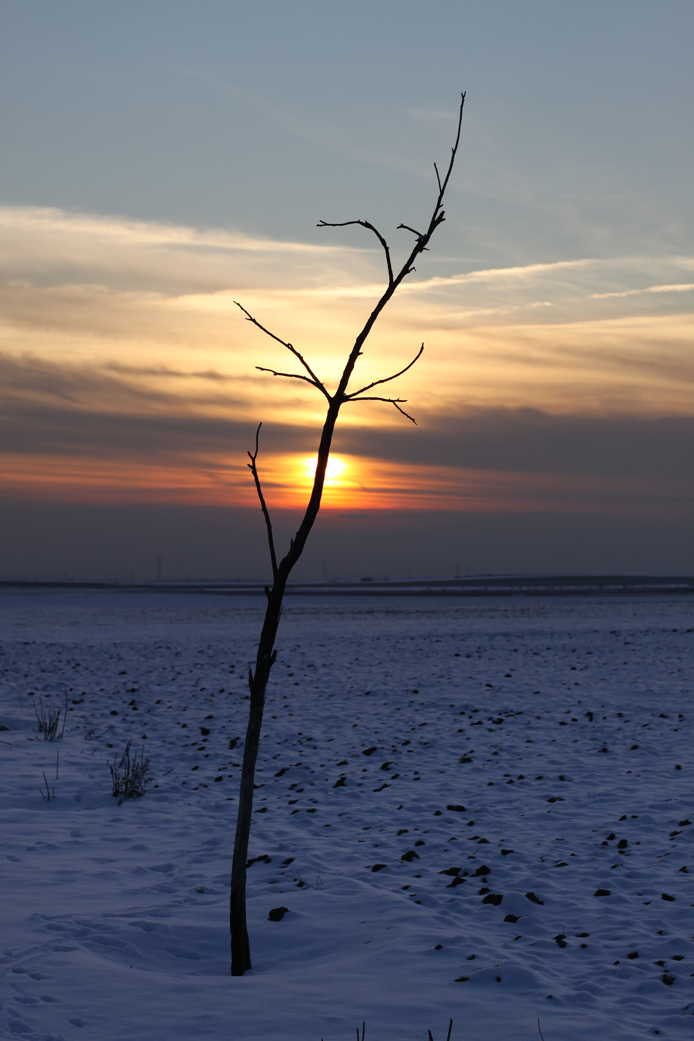 Canon EOS 50D + Canon EF 50mm F1.4 USM sample photo. Sol de nieve photography