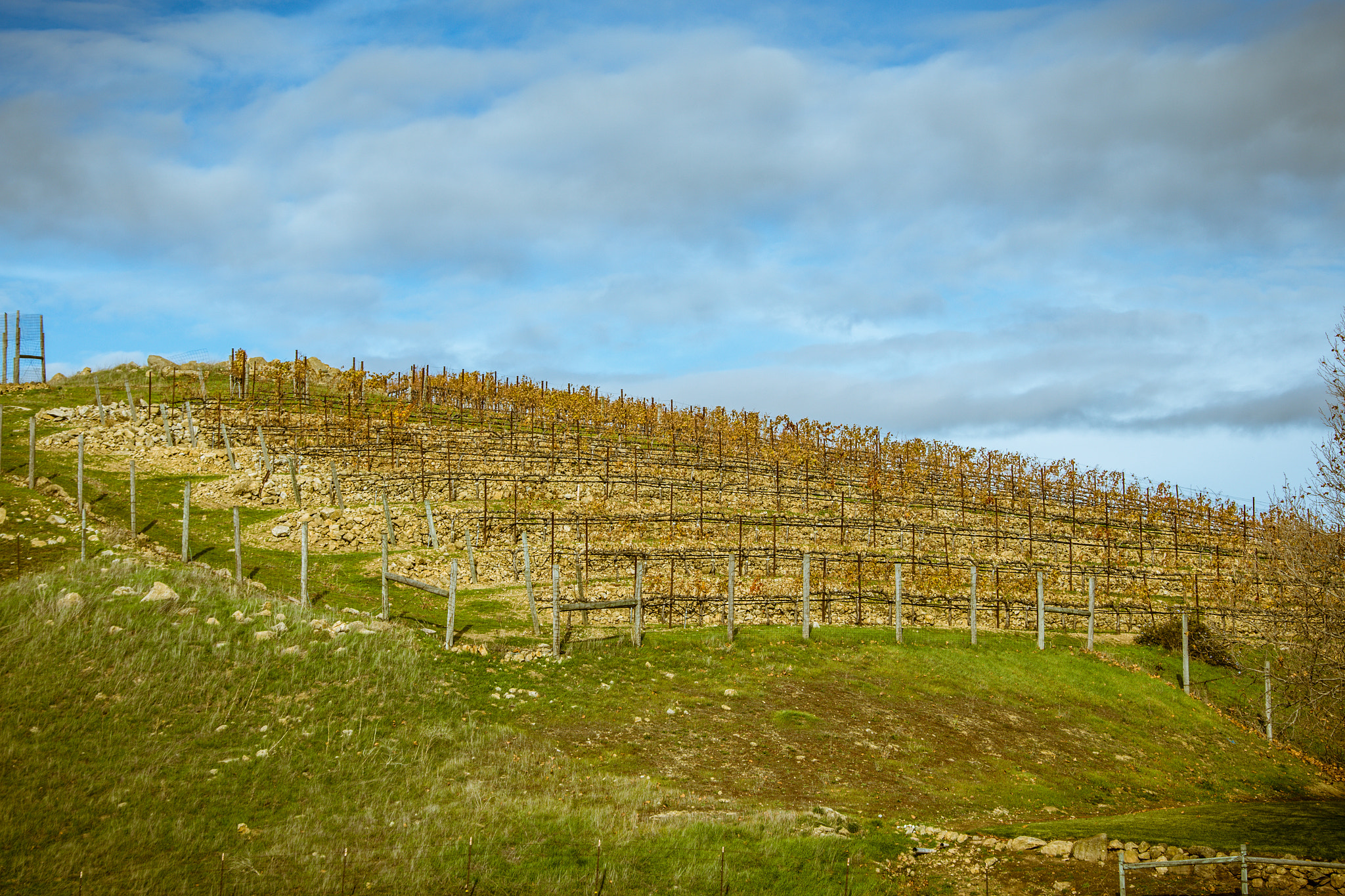 Canon EF 28-300mm F3.5-5.6L IS USM sample photo. Vineyards in the mountains photography