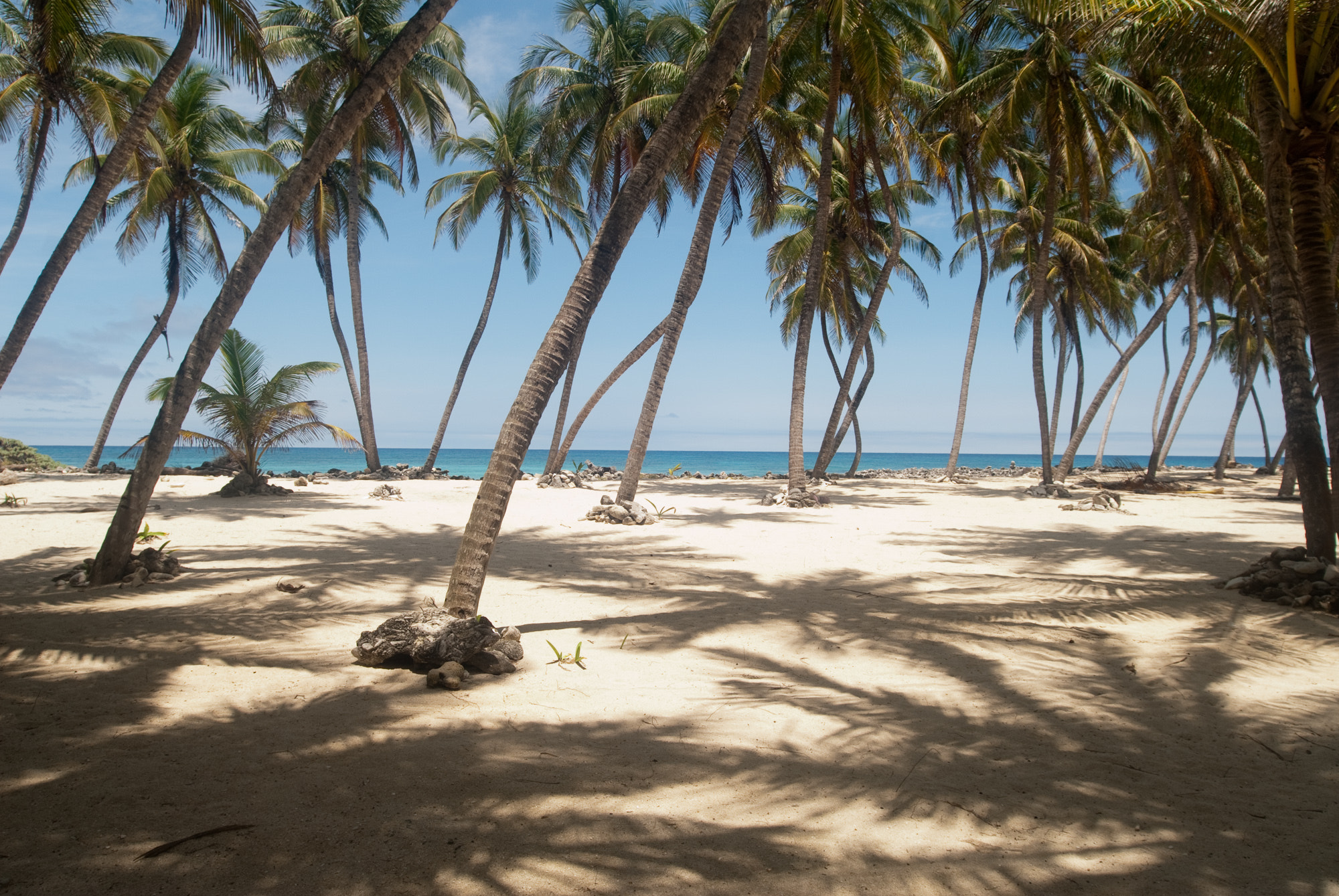 Nikon D200 + Sigma 17-35mm F2.8-4 EX Aspherical sample photo. Half moon caye, belize photography