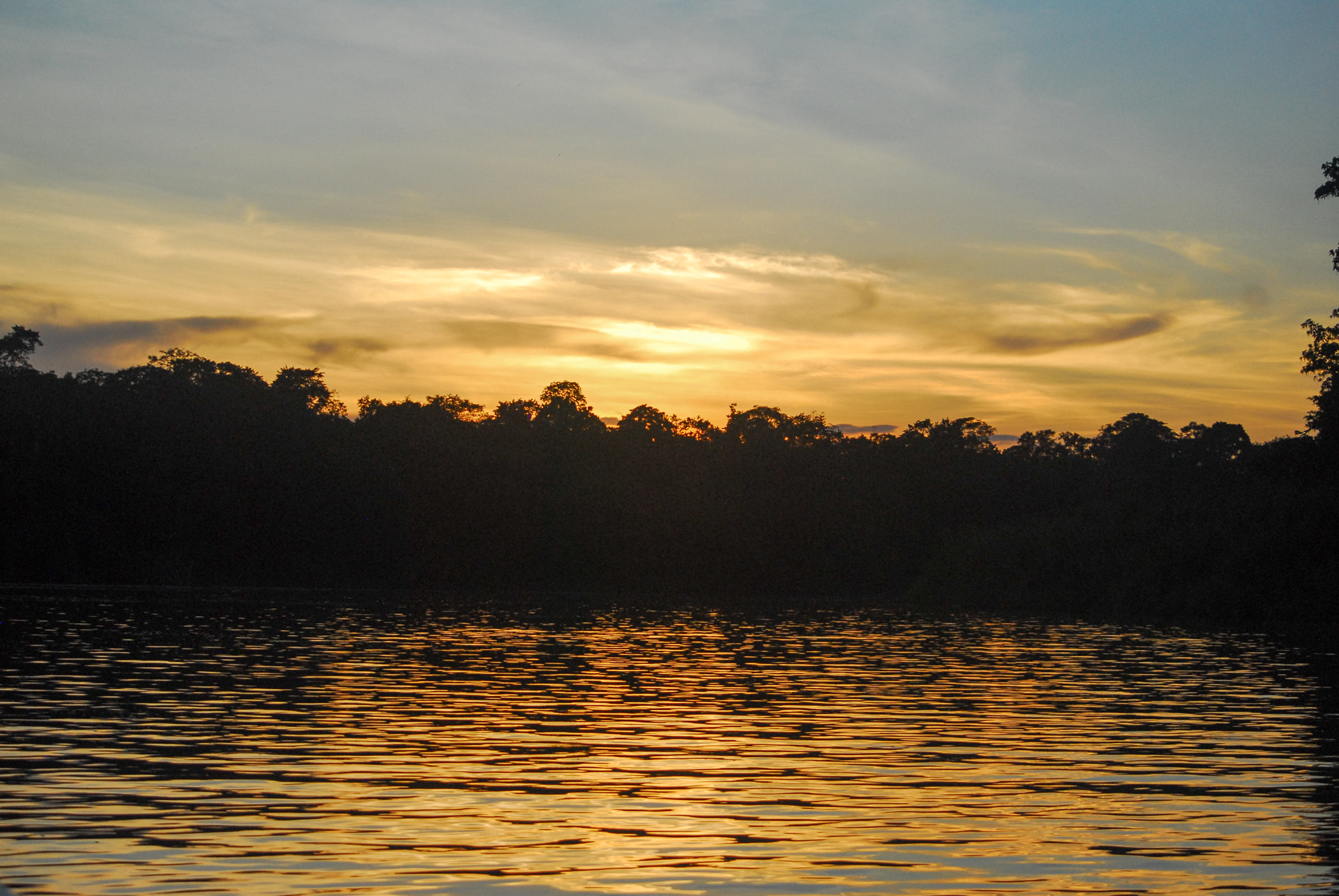 Nikon D200 sample photo. Jungle sunset photography