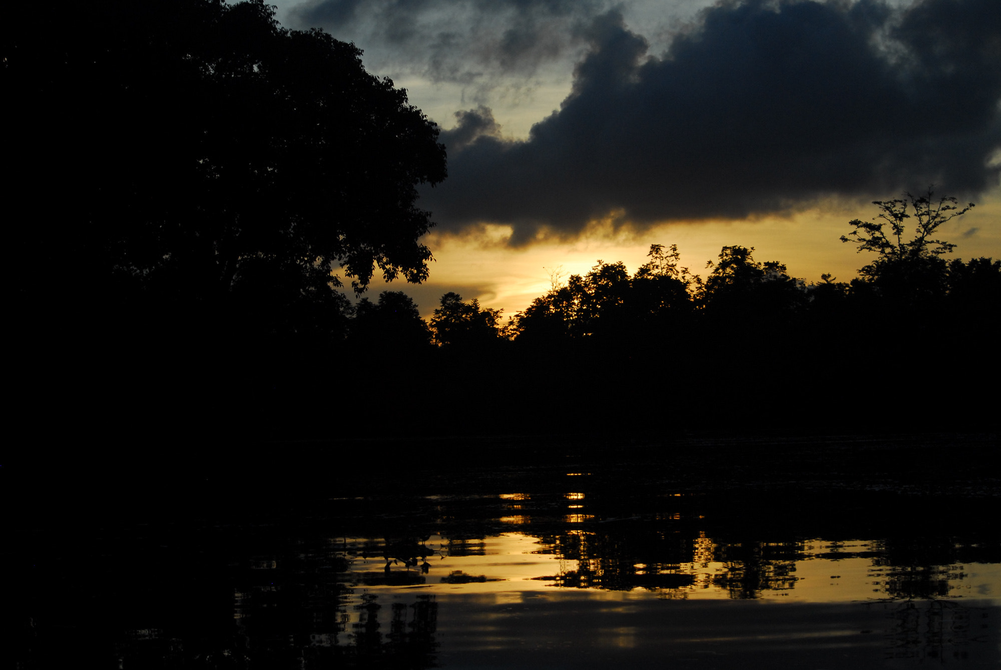 Nikon D200 sample photo. Jungle sunset photography