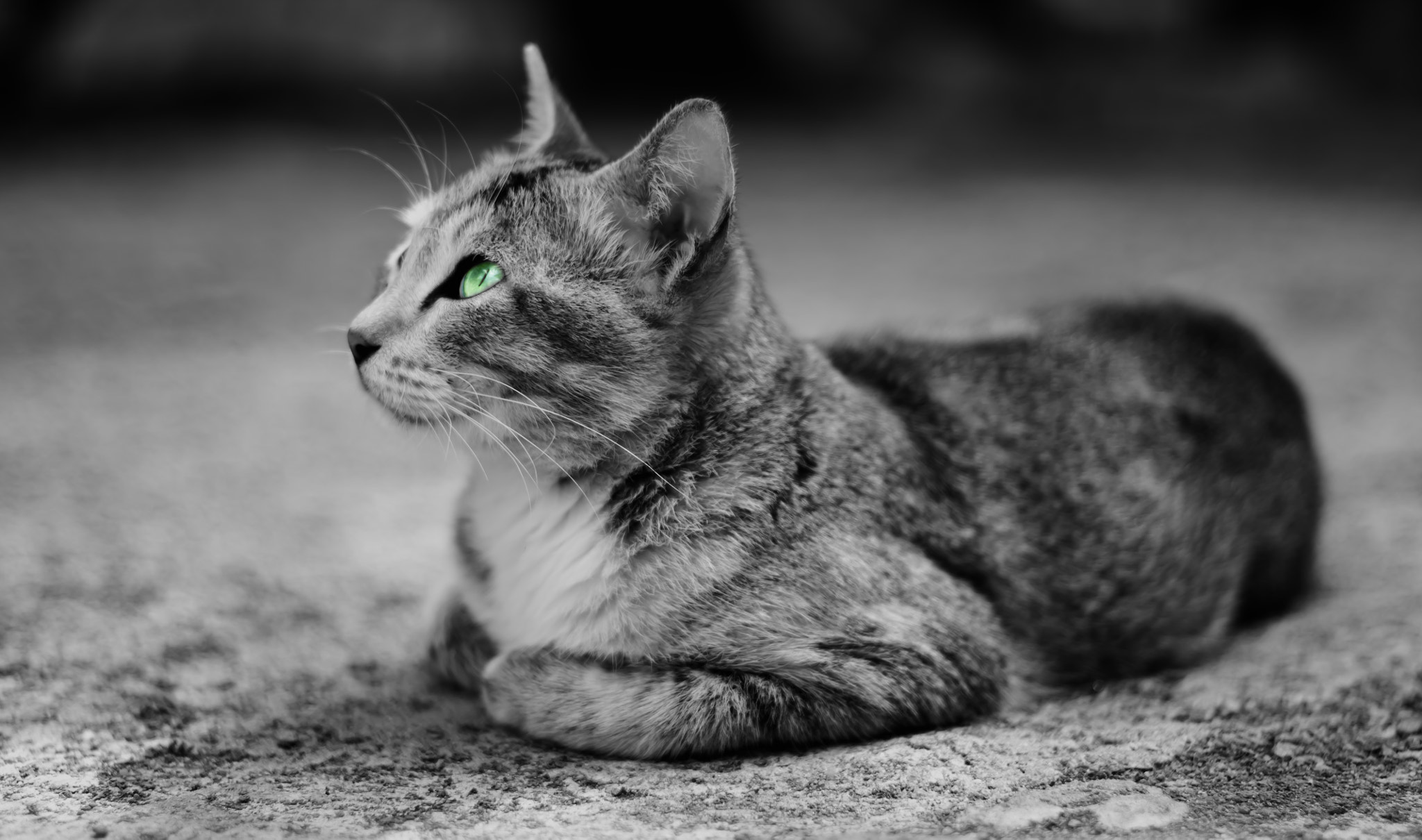 Canon EF 35-80mm f/4-5.6 sample photo. 685533026884 photography