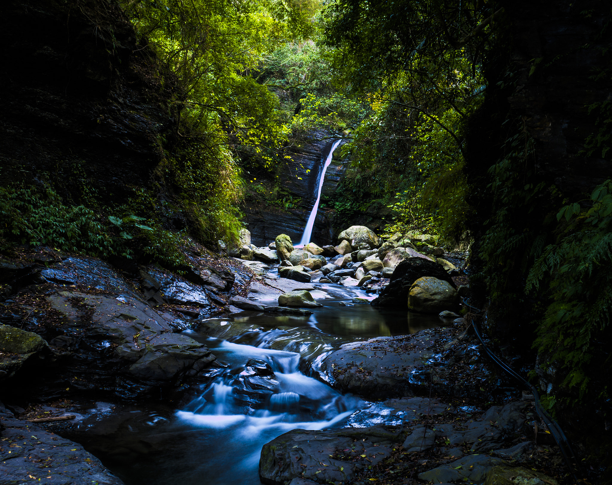 Panasonic Lumix DMC-G7 sample photo. Streamside photography