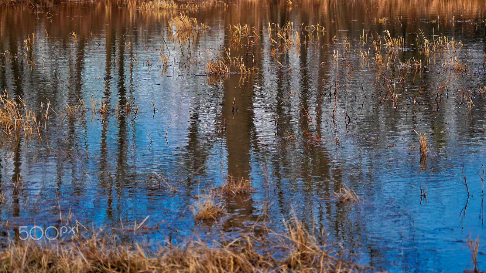 Panasonic Lumix DMC-GX85 (Lumix DMC-GX80 / Lumix DMC-GX7 Mark II) sample photo. Sunset flood iii. photography