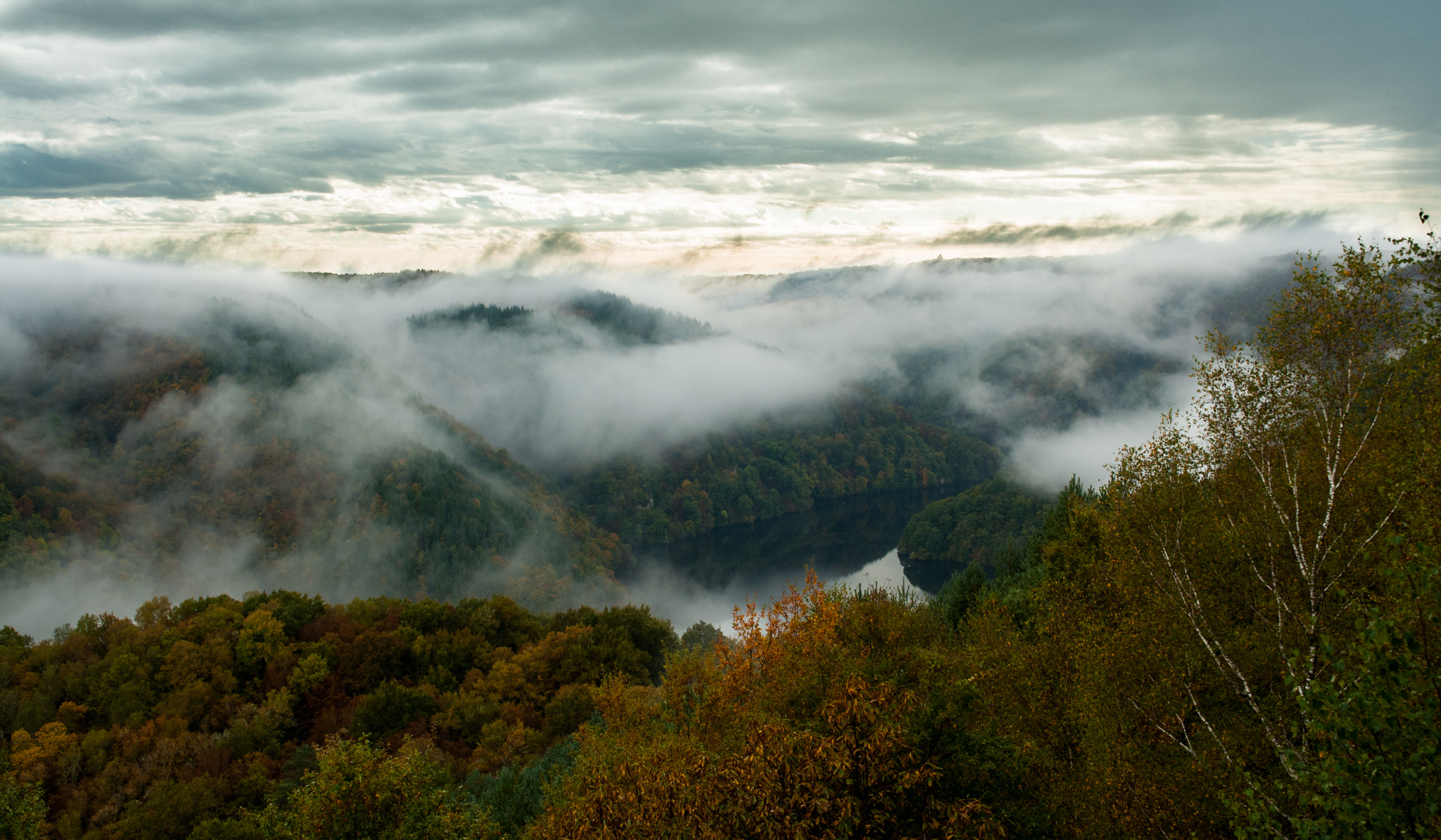 Nikon D200 + Samyang 12mm F2.8 ED AS NCS Fisheye sample photo. Mist photography