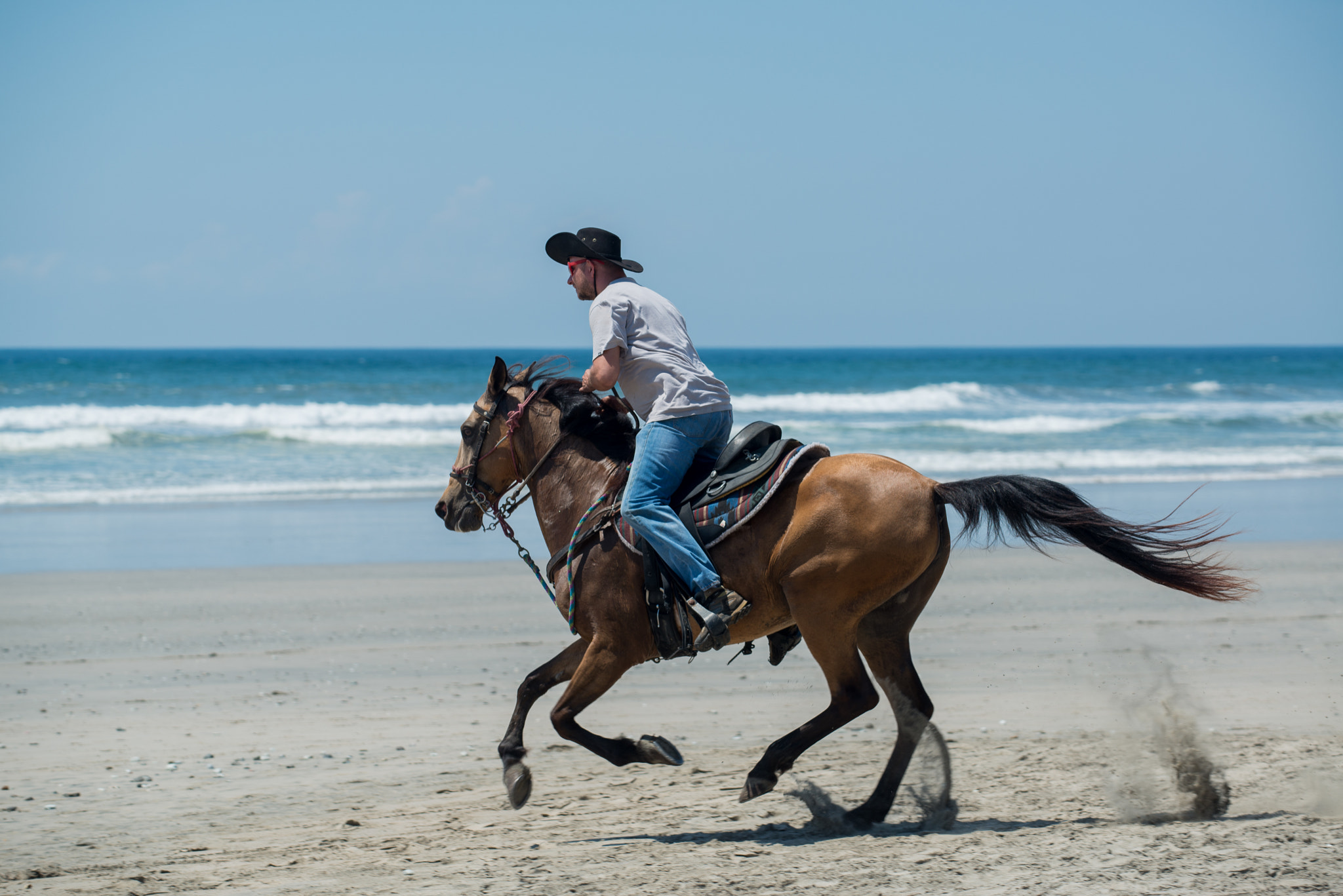 Nikon AF-S Nikkor 70-200mm F4G ED VR sample photo. Au galop photography