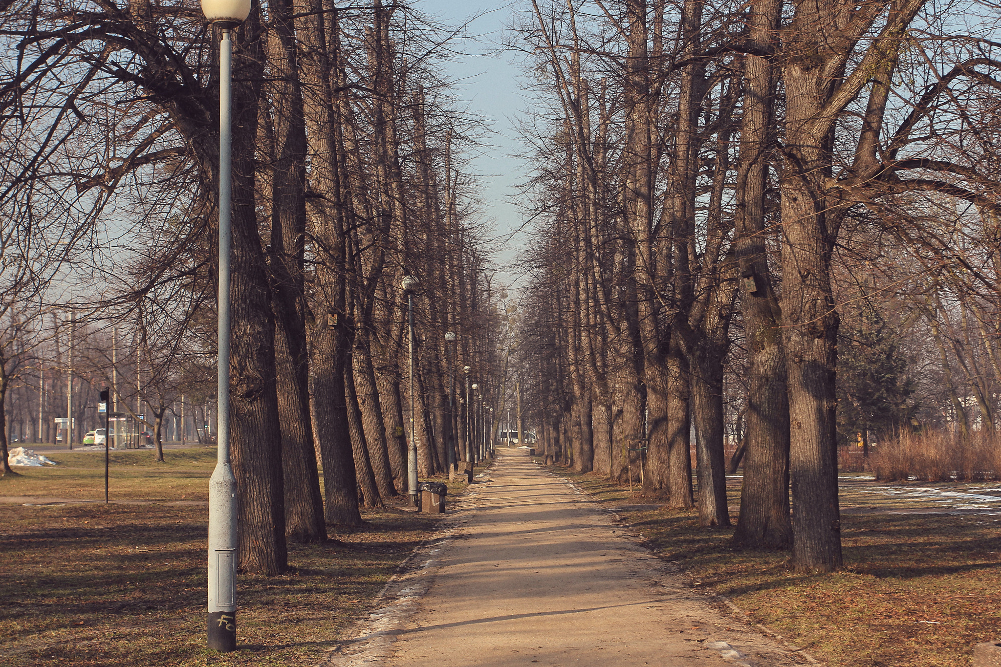 Canon EOS 60D + Canon EF 17-40mm F4L USM sample photo. Img photography