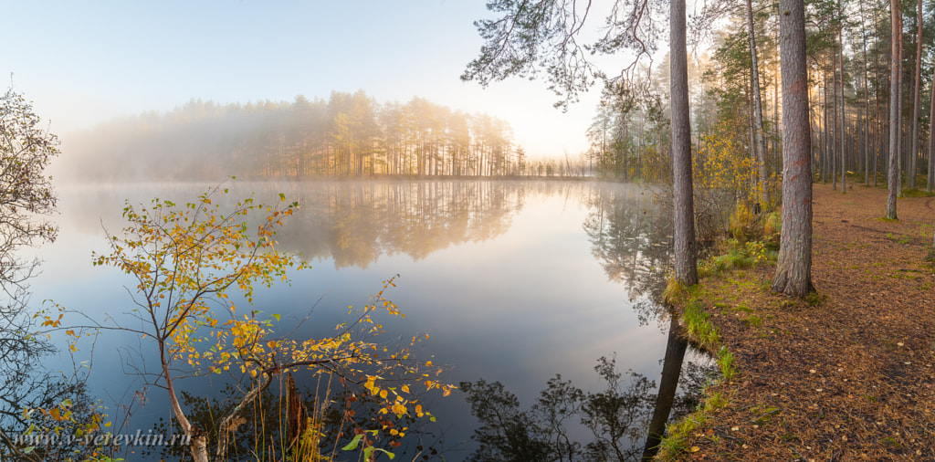 Misty forest lake.  Panorama. by Vitalii Verevkin on 500px.com
