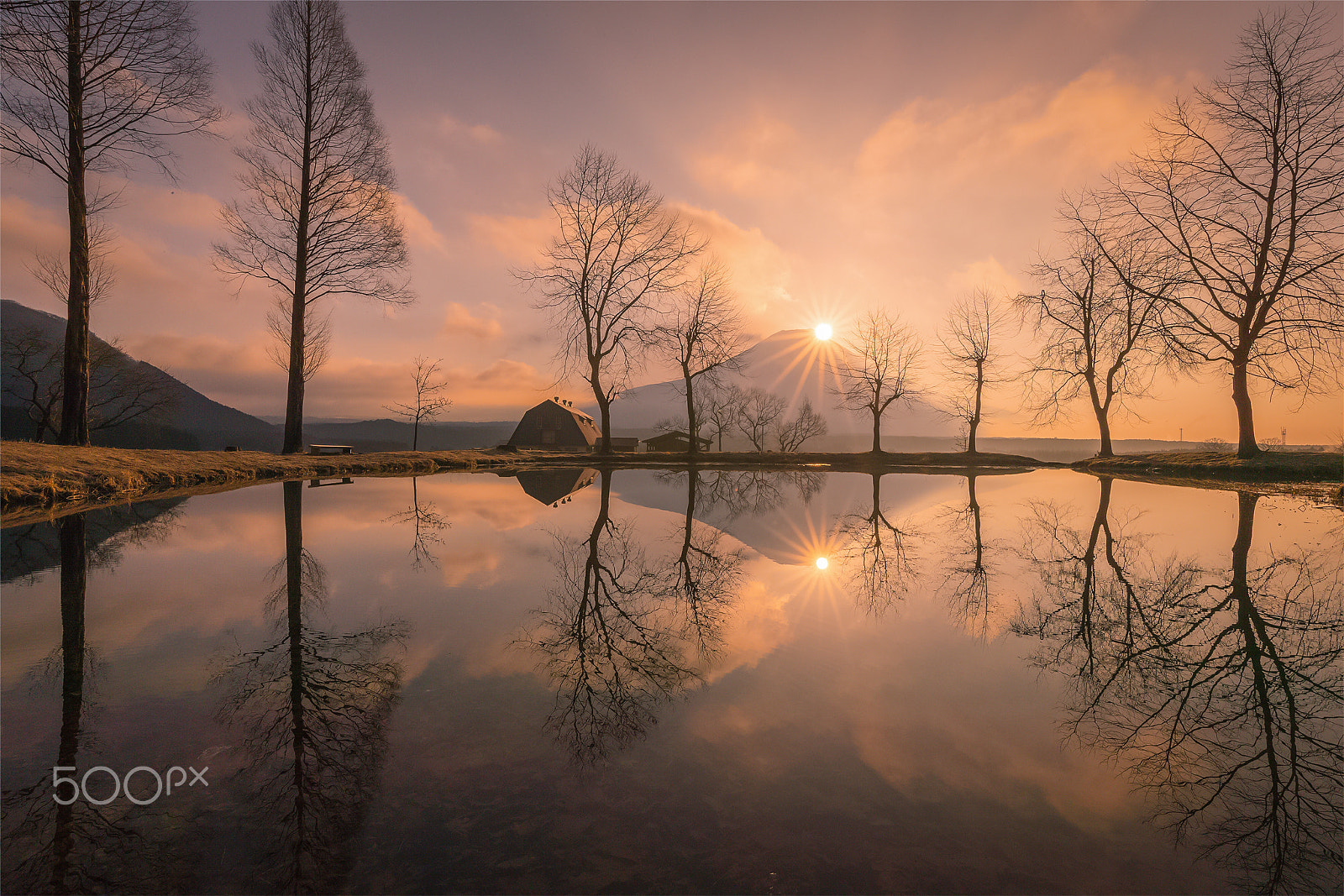 Canon EOS-1D X Mark II + Canon EF 11-24mm F4L USM sample photo. Mountain fuji & sunrise photography