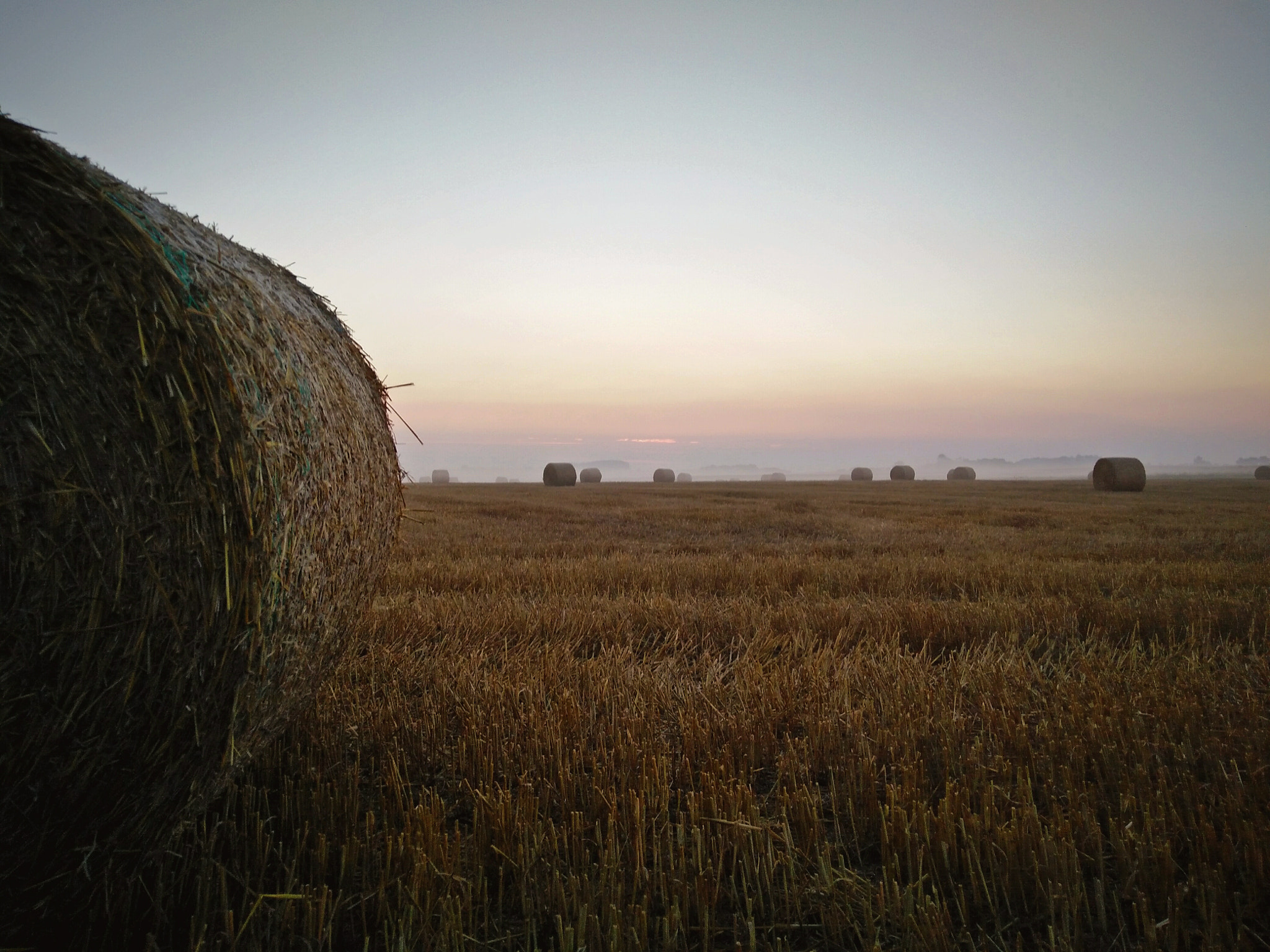 OnePlus ONE E1003 sample photo. Morning in the campaign photography