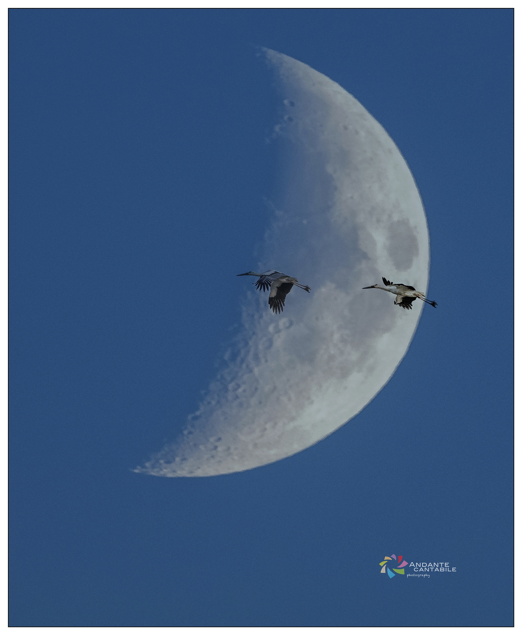 Nikon D810 sample photo