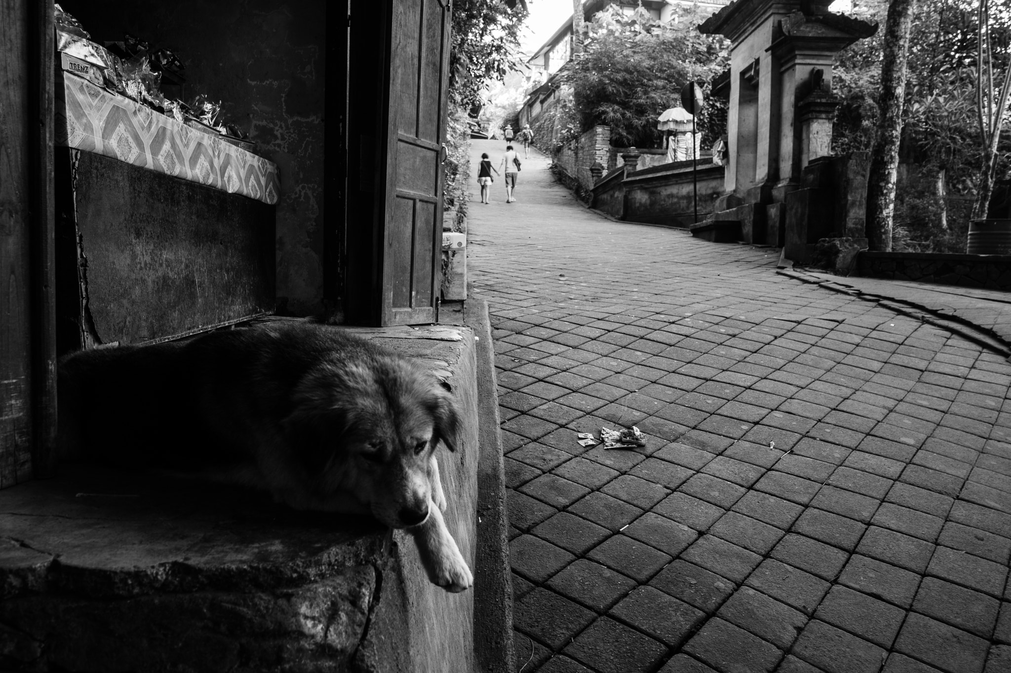 Sony FE 28mm F2 sample photo. Forgotten photography