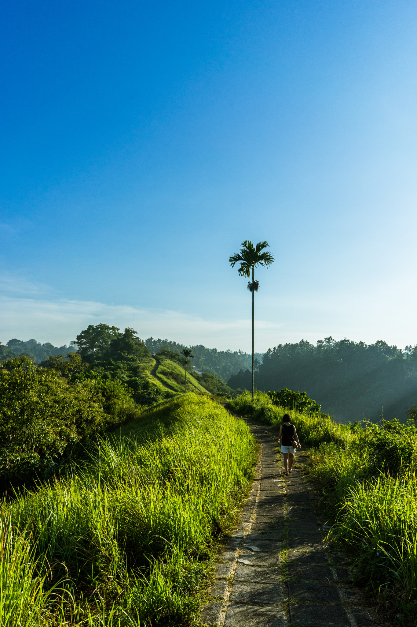 Sony a7 II sample photo. Long journey photography