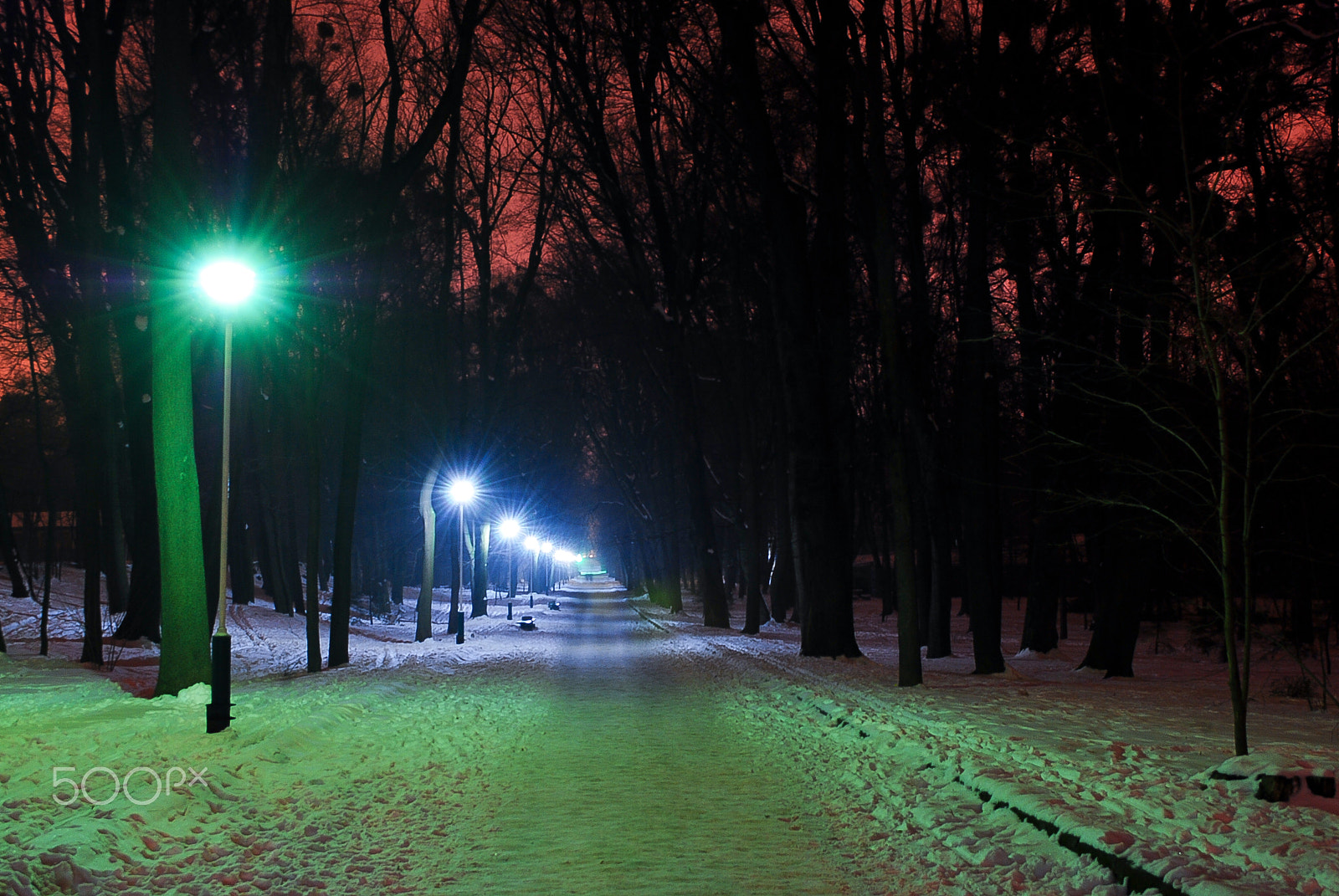 Nikon D80 sample photo. Park photography