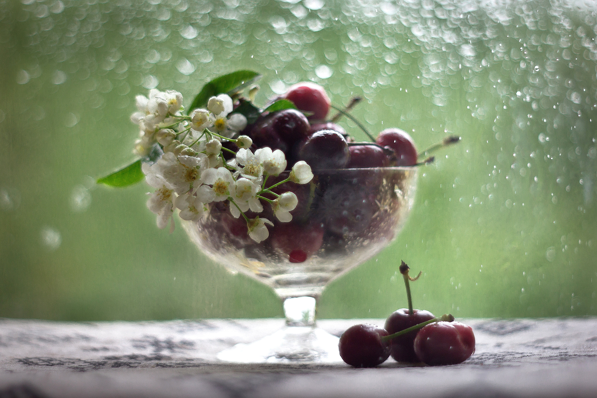 Canon EF 35-80mm f/4-5.6 sample photo. Черёмуха и черешня photography