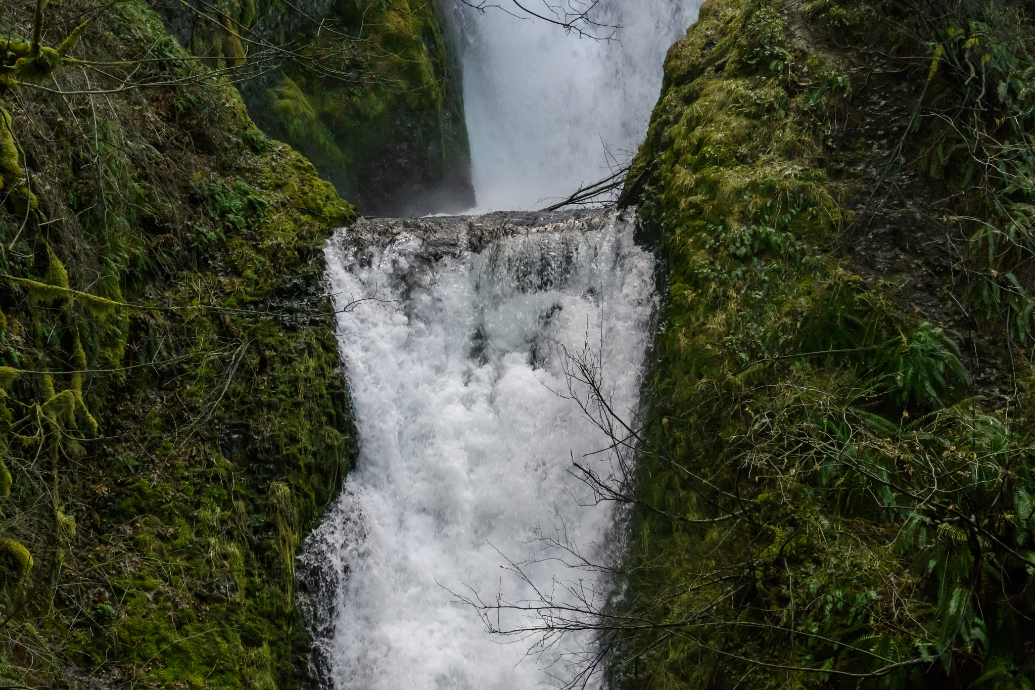Nikon D500 sample photo. Bridal veil feb photography