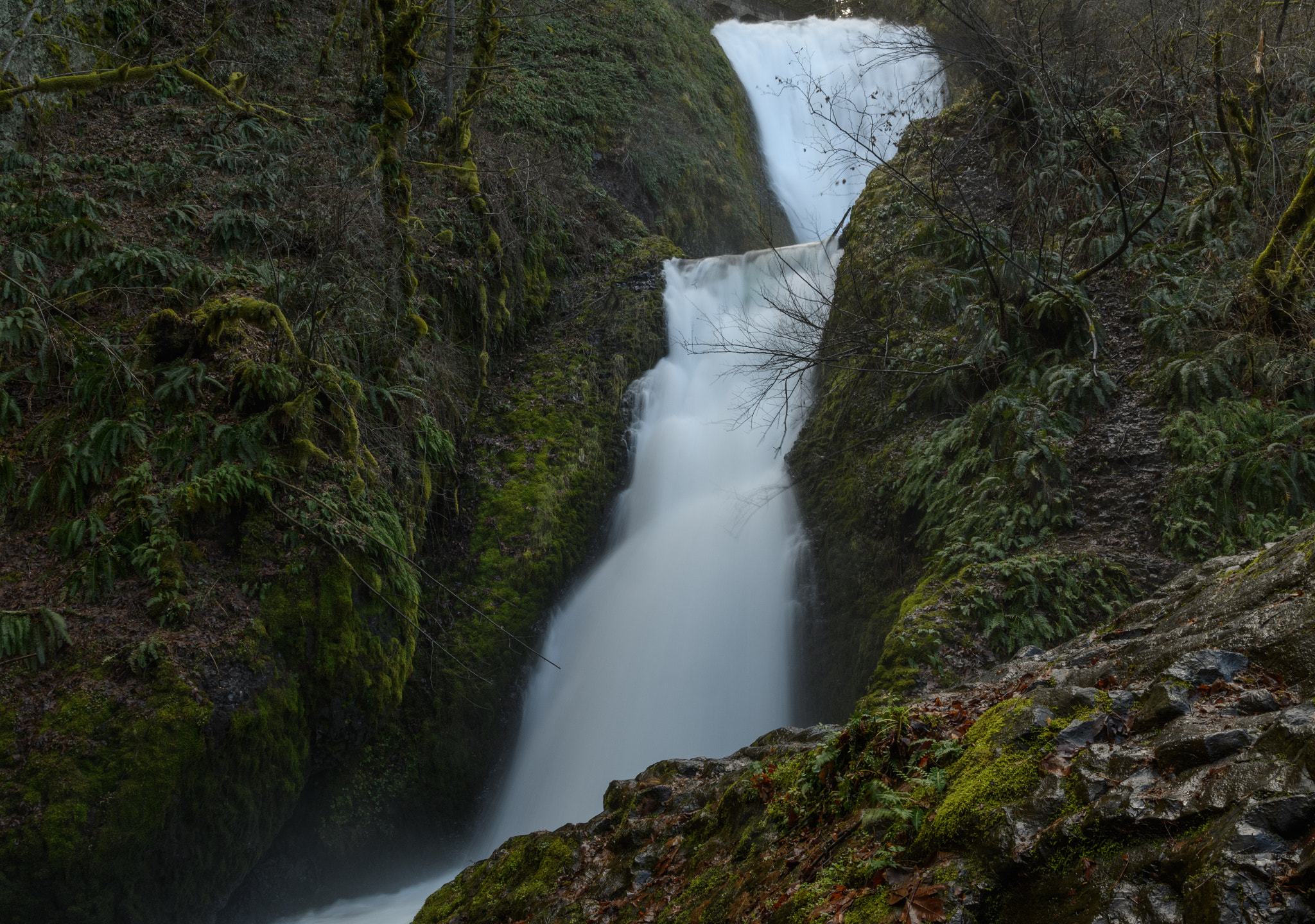 Nikon D500 + Sigma 18-35mm F1.8 DC HSM Art sample photo. Bridal veil feb photography