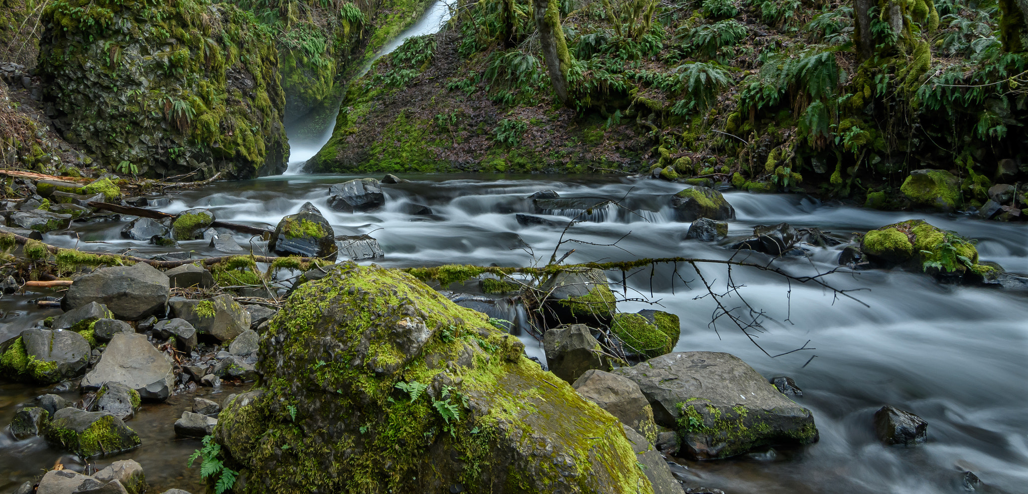 Tokina AT-X Pro 11-16mm F2.8 DX sample photo. Bridal veil feb photography
