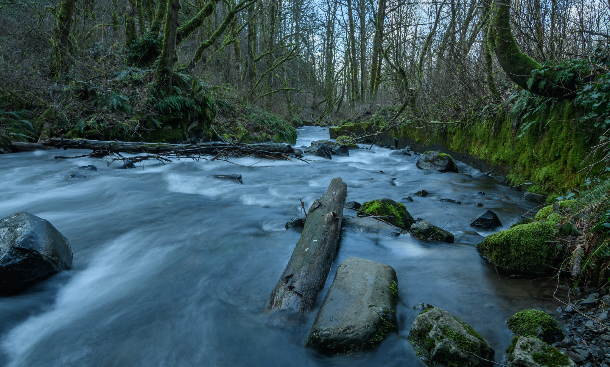 Tokina AT-X Pro 11-16mm F2.8 DX sample photo. Bridal veil feb photography