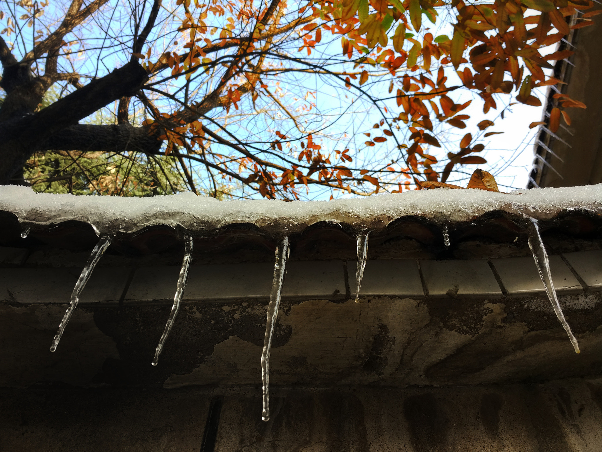 Xiaomi Mi-4c sample photo. Ice photography