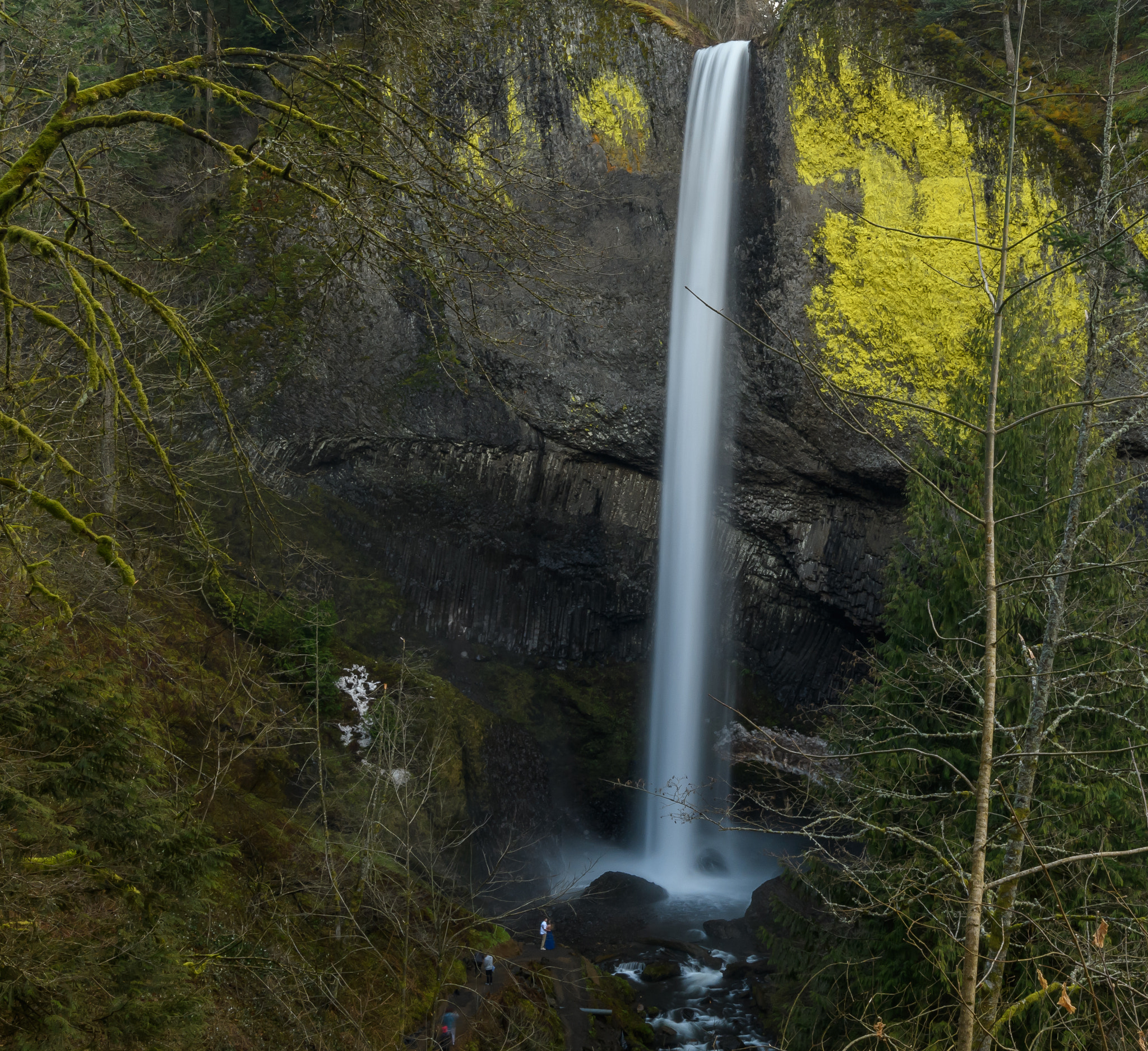 Nikon D500 + Sigma 18-35mm F1.8 DC HSM Art sample photo. Latourell falls_vista house photography