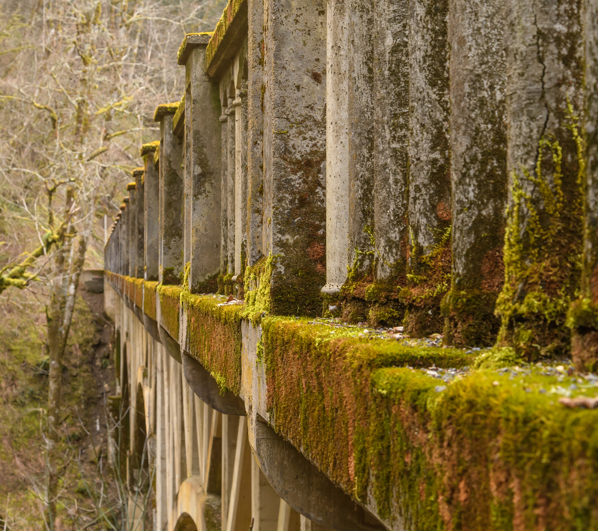 Nikon D500 sample photo. Latourell falls_vista house photography