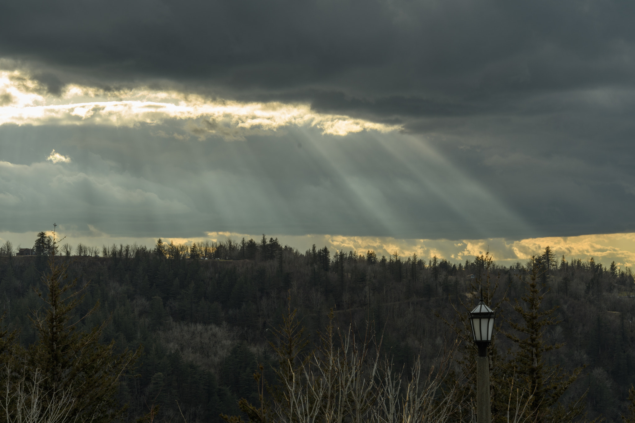 Nikon D500 sample photo. Latourell falls_vista house photography