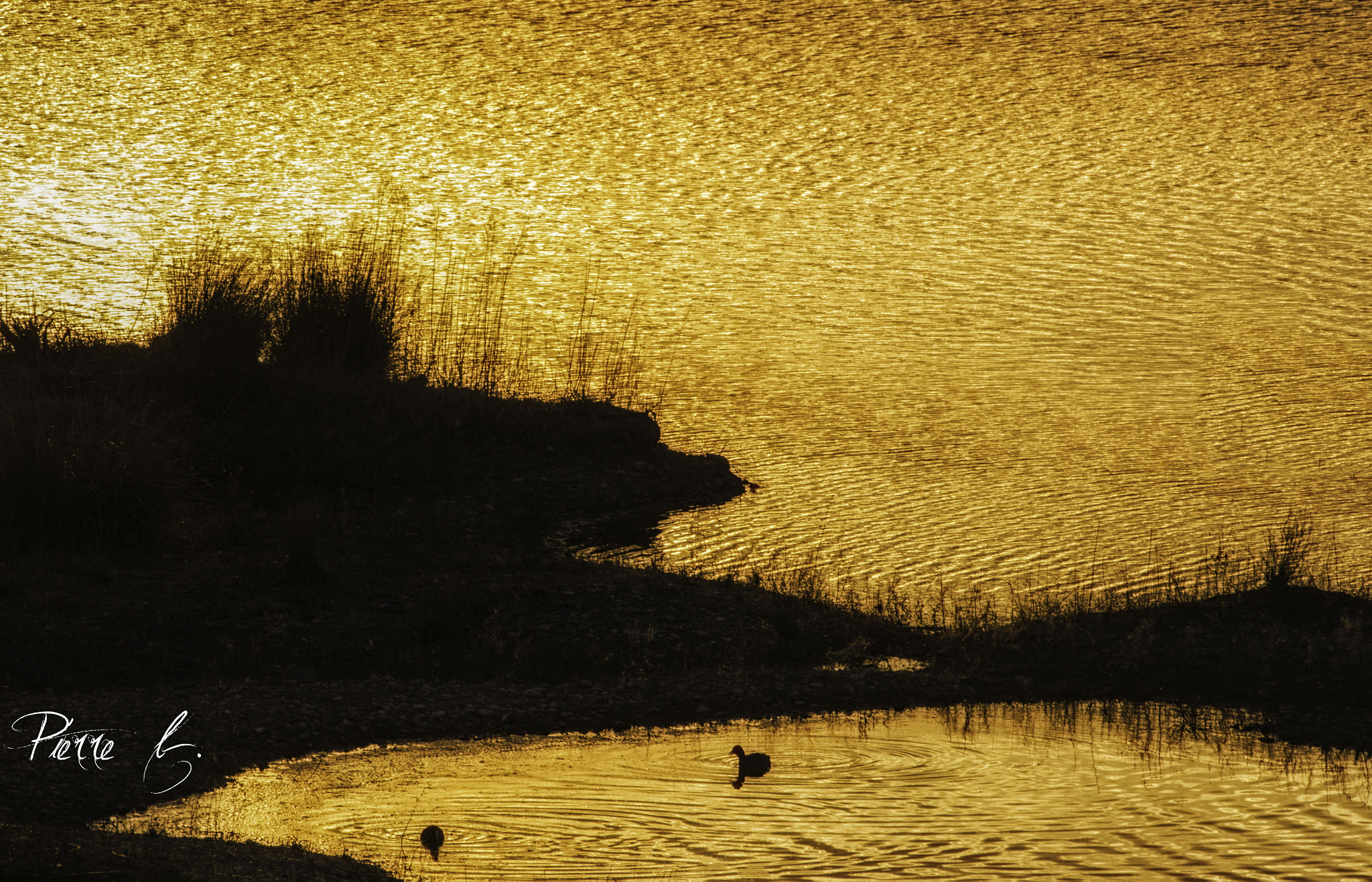 Canon EOS 550D (EOS Rebel T2i / EOS Kiss X4) sample photo. Golden lake photography