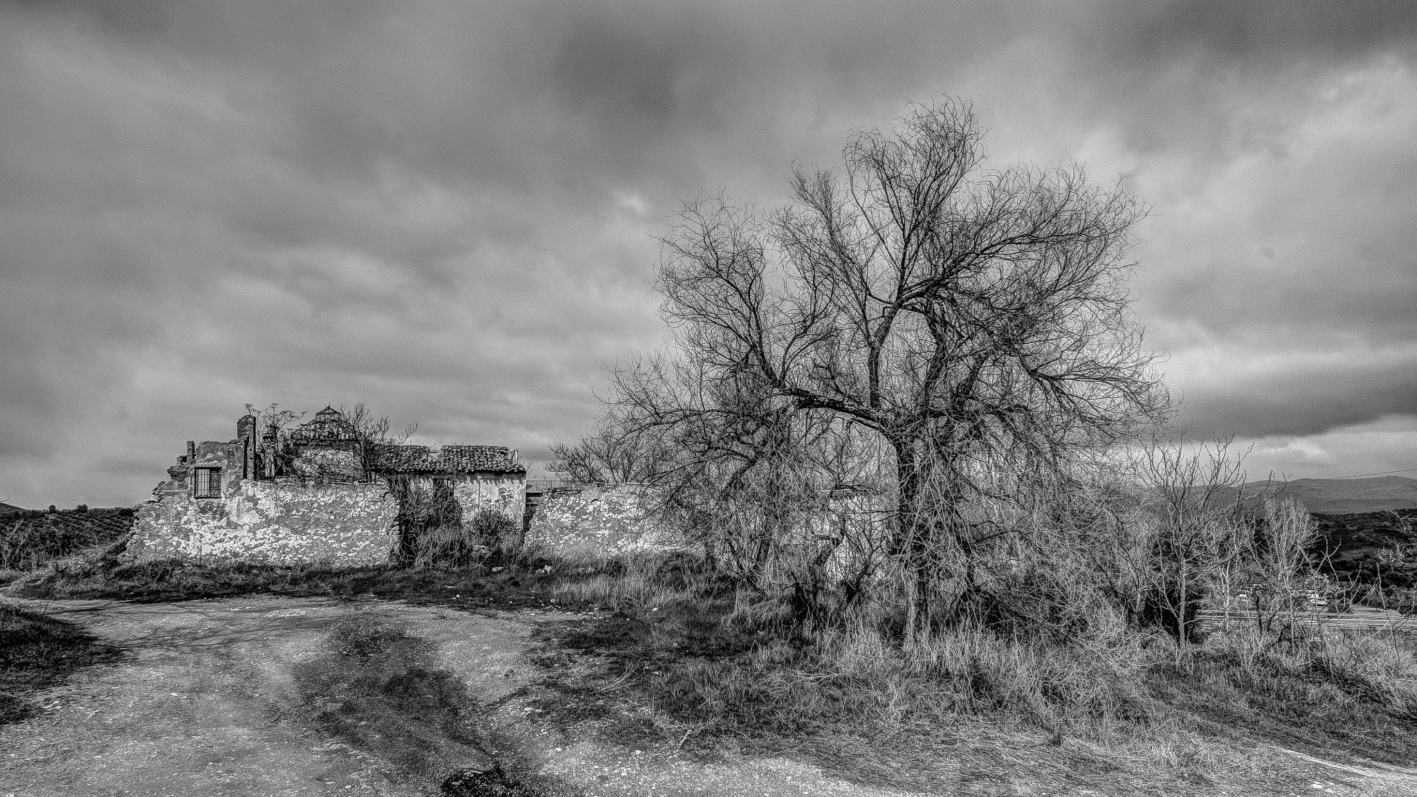 Tokina AT-X Pro 12-24mm F4 (IF) DX sample photo. Alone photography