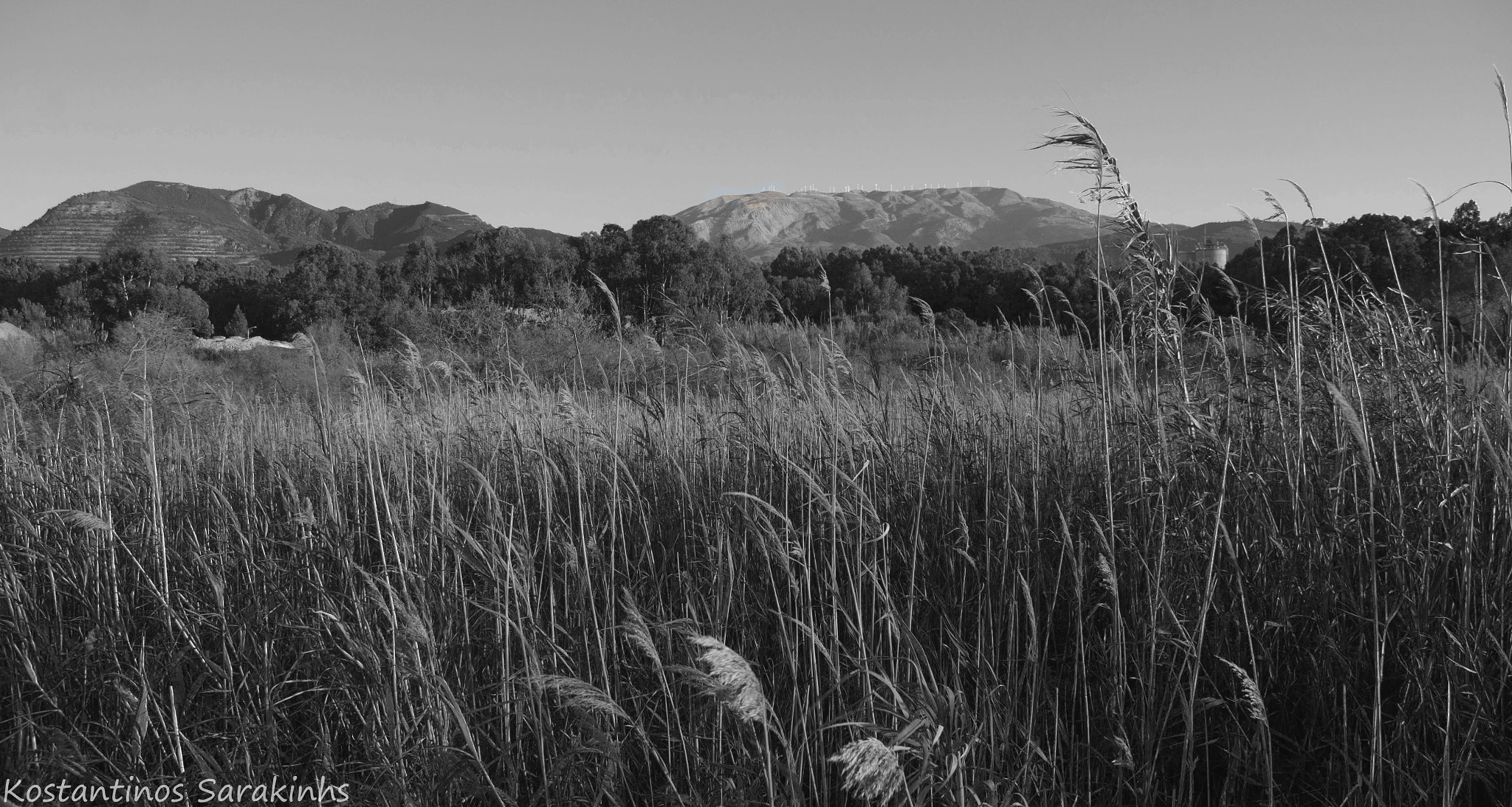 Sigma 18-200mm f/3.5-6.3 DC OS sample photo. ||february 2016|| photography