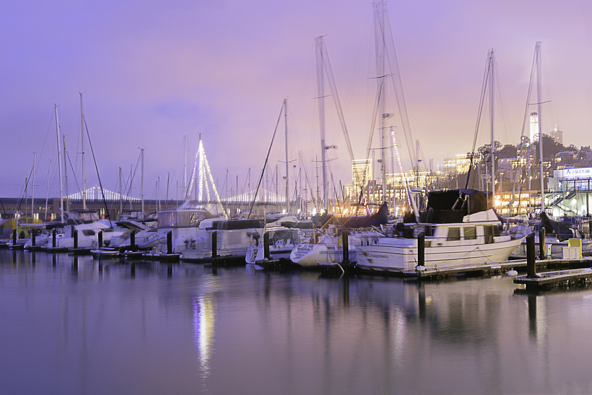 Nikon D3300 + Sigma 18-35mm F1.8 DC HSM Art sample photo. Boats in san francisco photography