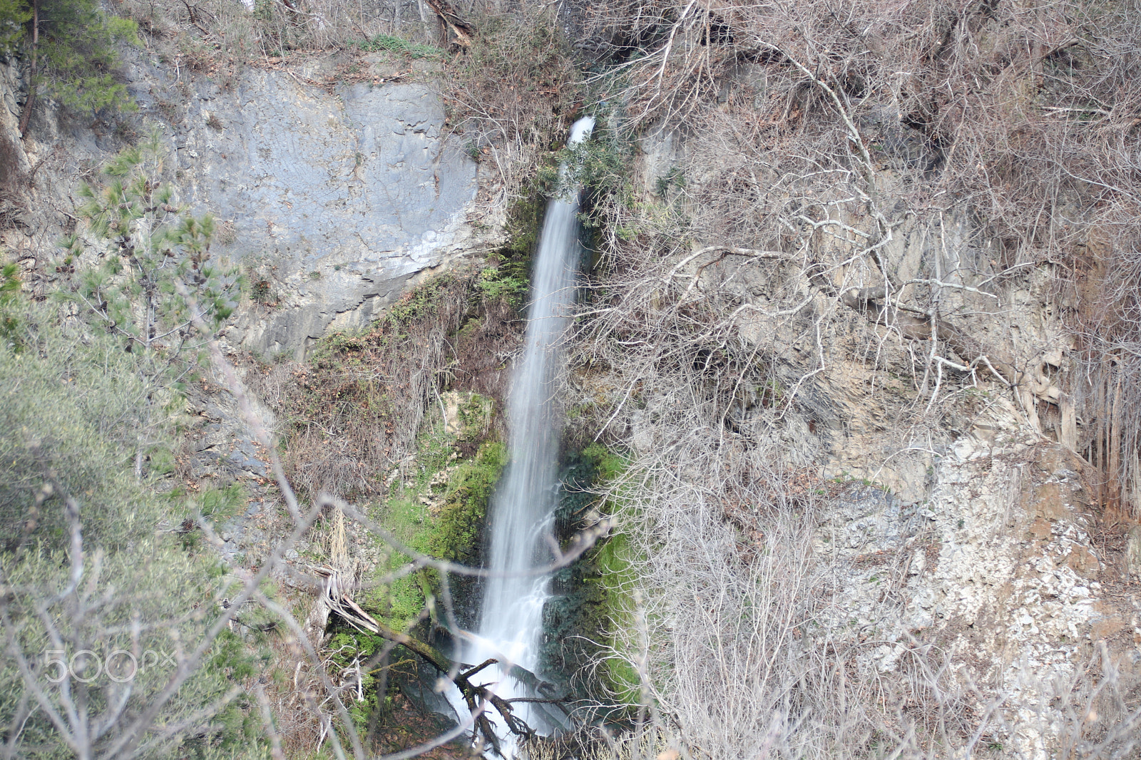 Canon EF 75-300mm F4.0-5.6 IS USM sample photo. Img photography