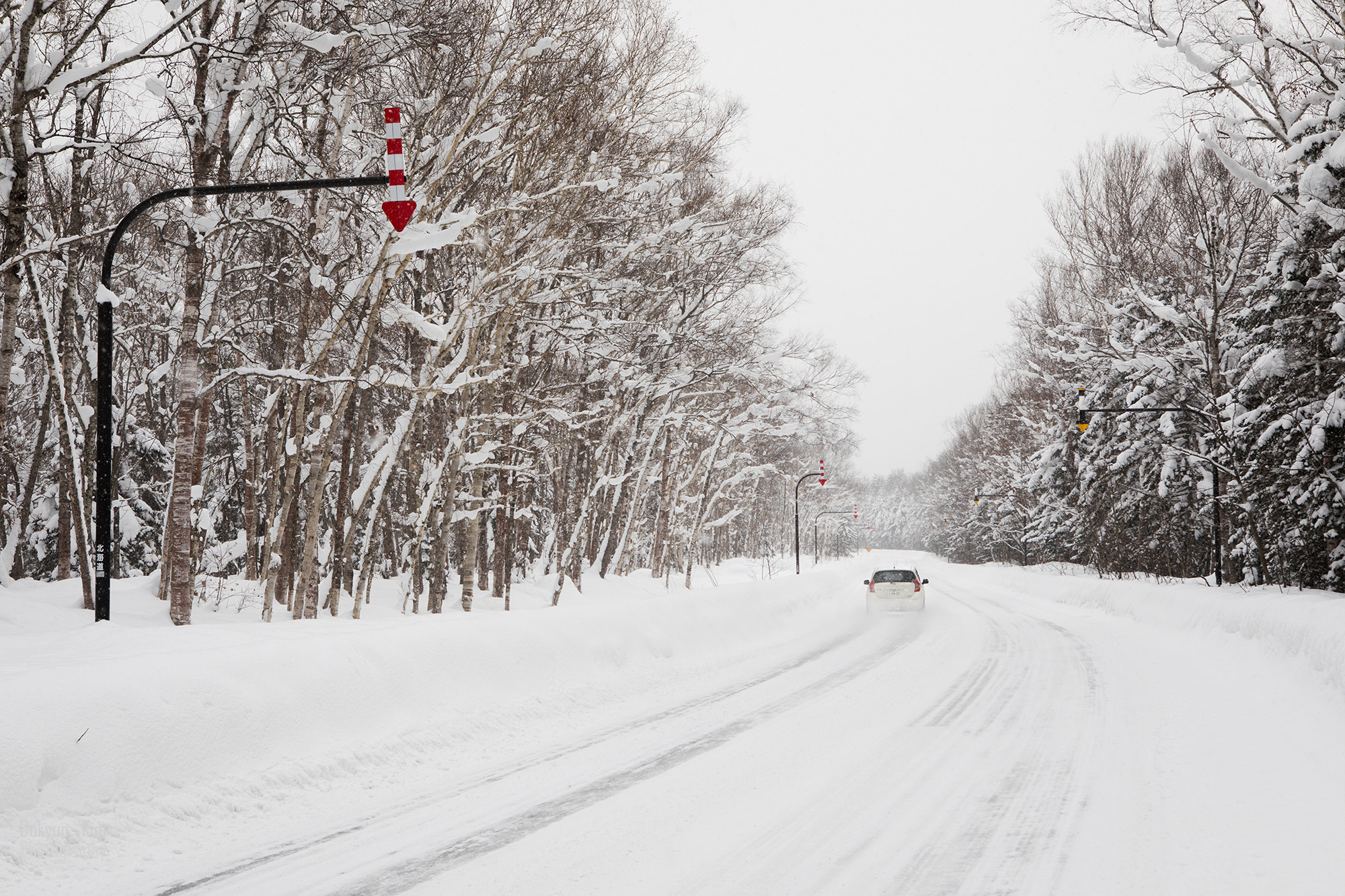 Canon EF 24-70mm F2.8L USM sample photo. Into the winter photography