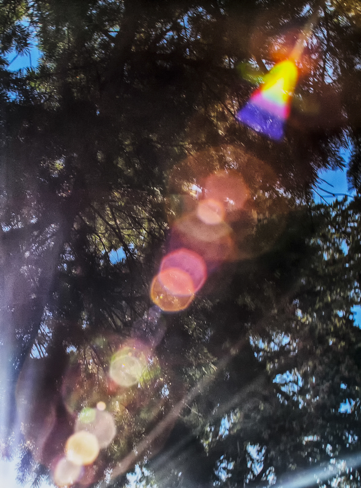 Nikon D3000 sample photo. Sister ray photography