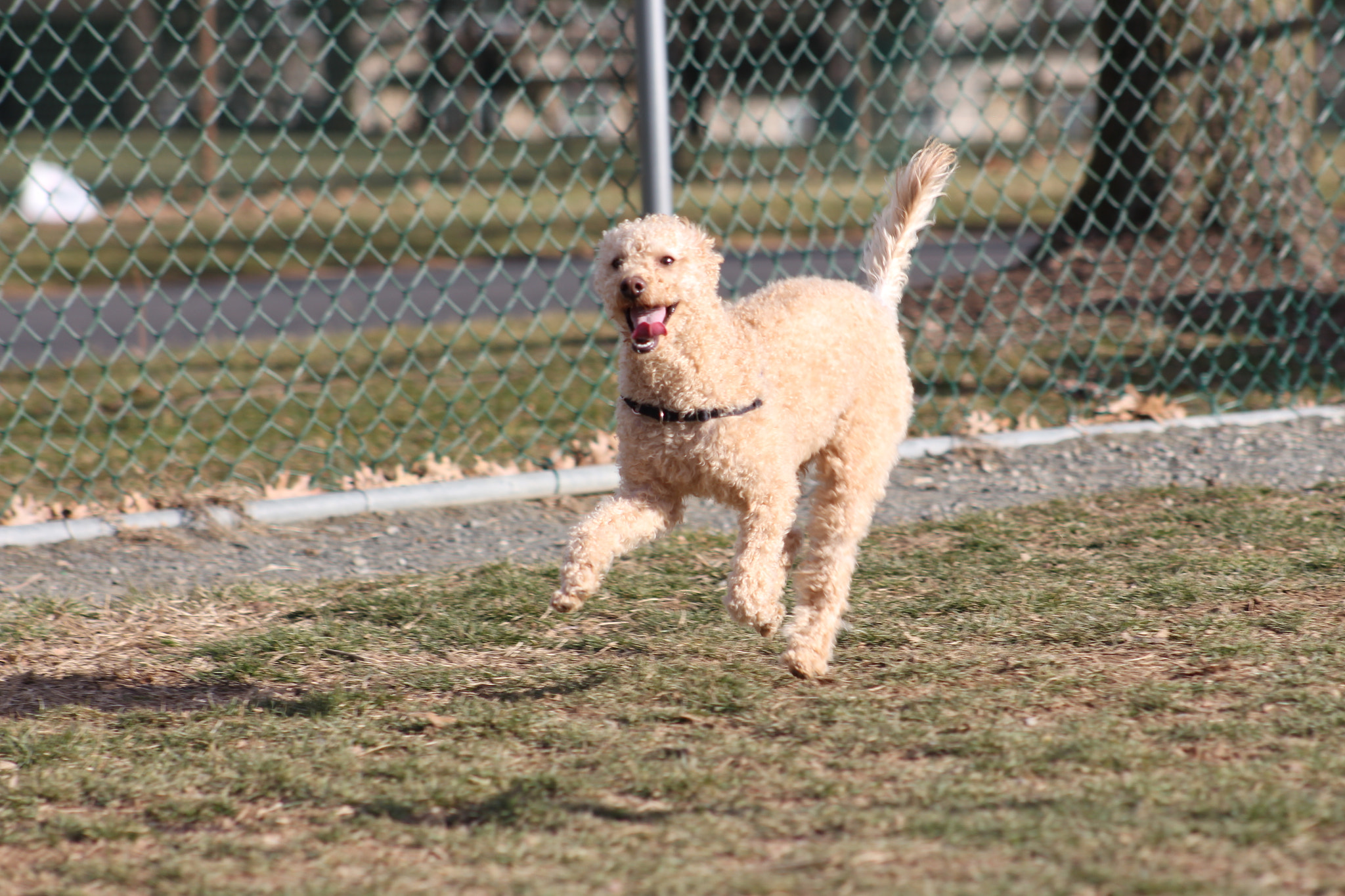 Canon EOS 700D (EOS Rebel T5i / EOS Kiss X7i) + EF75-300mm f/4-5.6 sample photo. Img photography