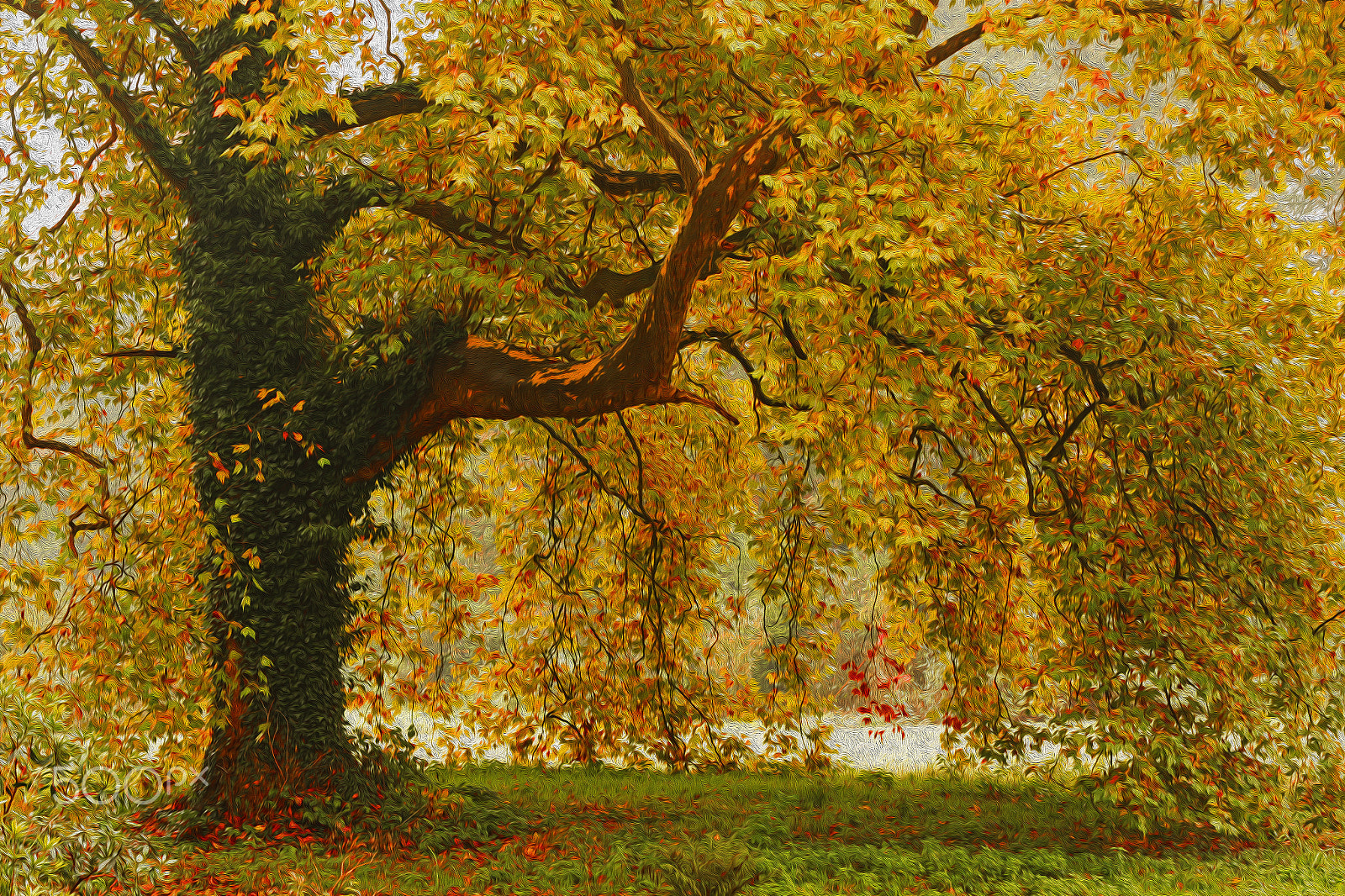 Canon EF 70-200mm F2.8L USM sample photo. Plane tree photography