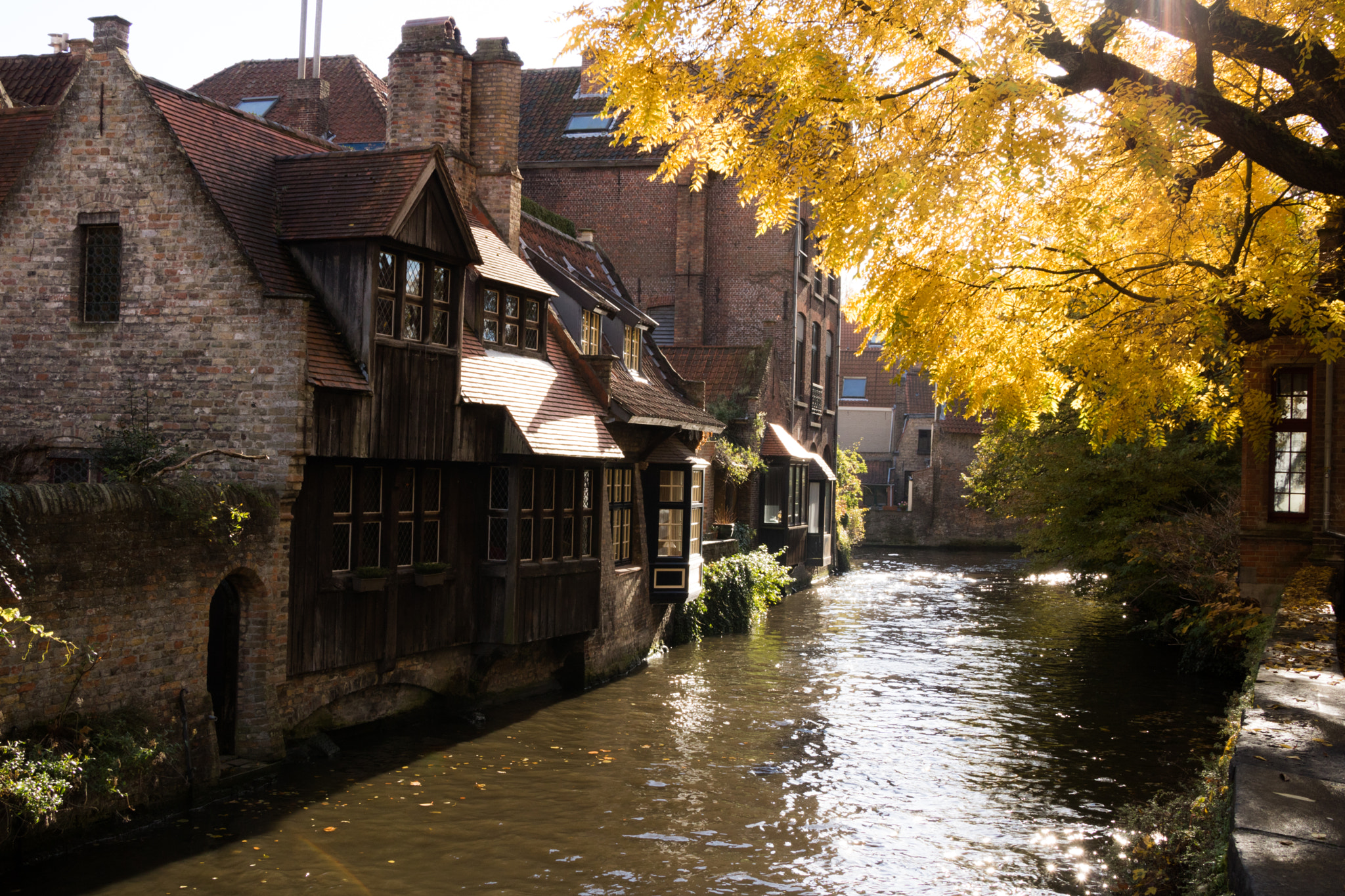 Canon EOS 760D (EOS Rebel T6s / EOS 8000D) + Canon TS-E 90mm F2.8 Tilt-Shift sample photo. Les canaux de bruges photography