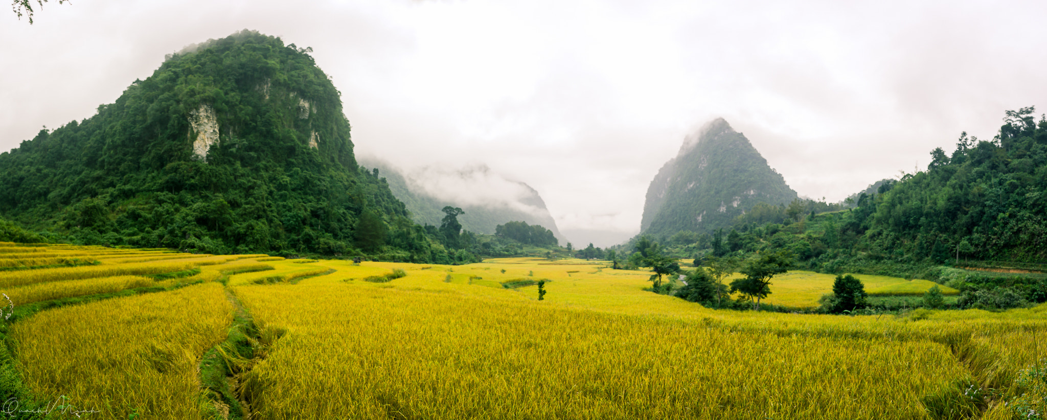 Sony E 20mm F2.8 sample photo. Minh quach portfolio photography