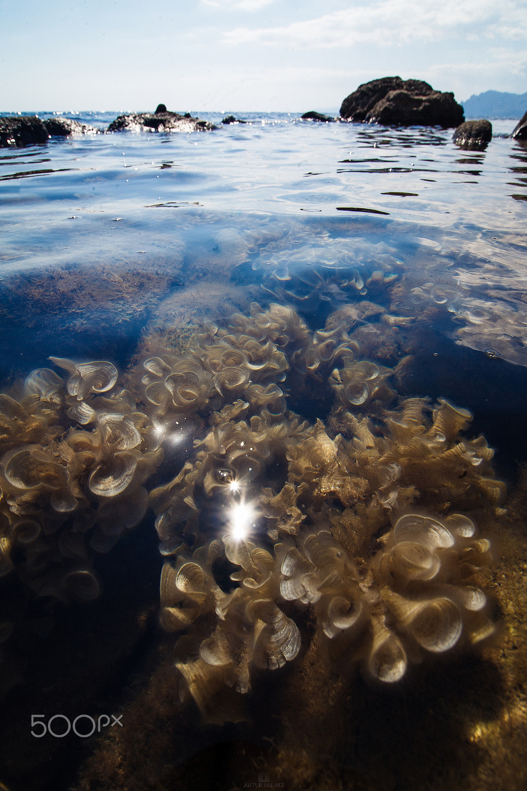 Tokina AT-X Pro 12-24mm F4 (IF) DX sample photo. Water photography