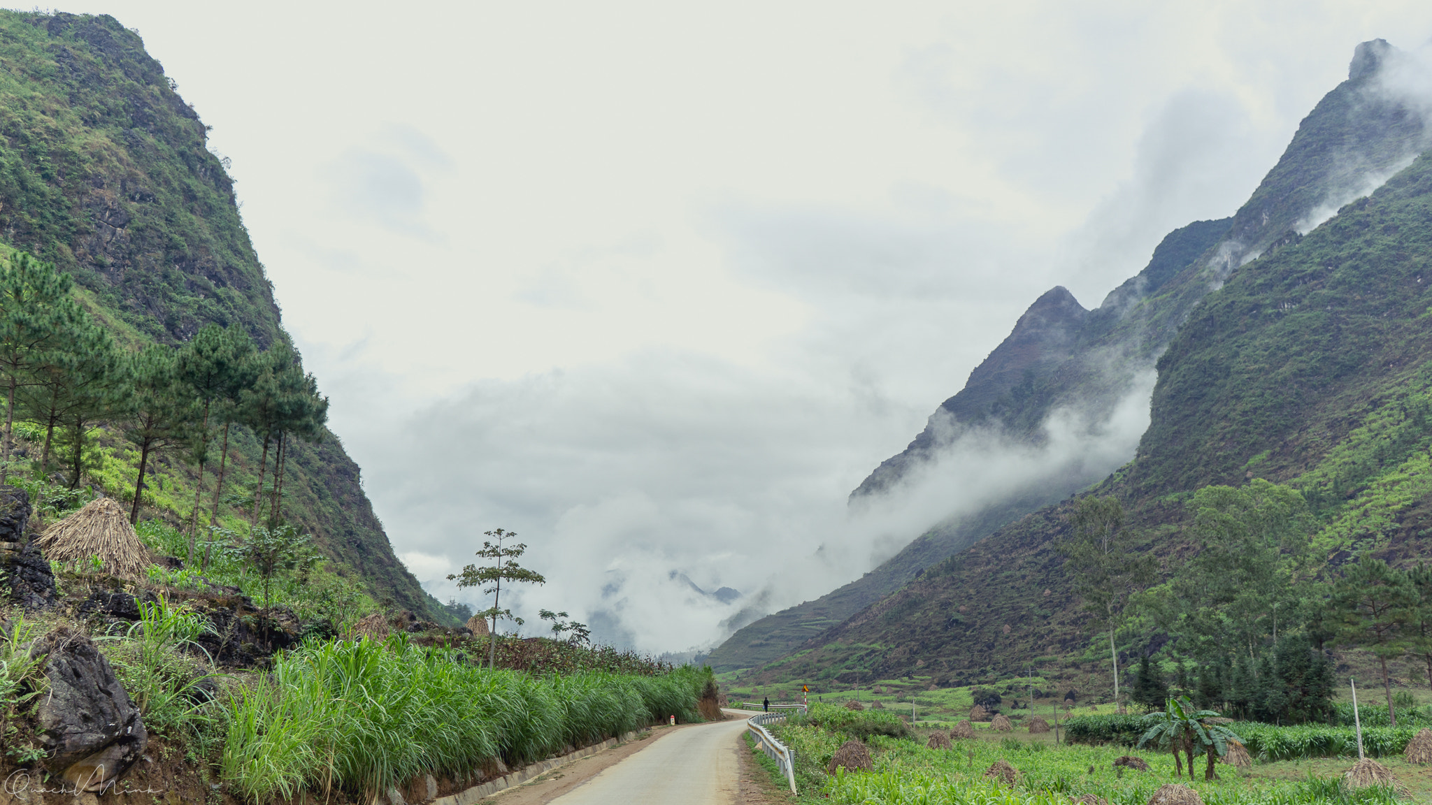 Sony a6000 sample photo. Minh quach portfolio photography