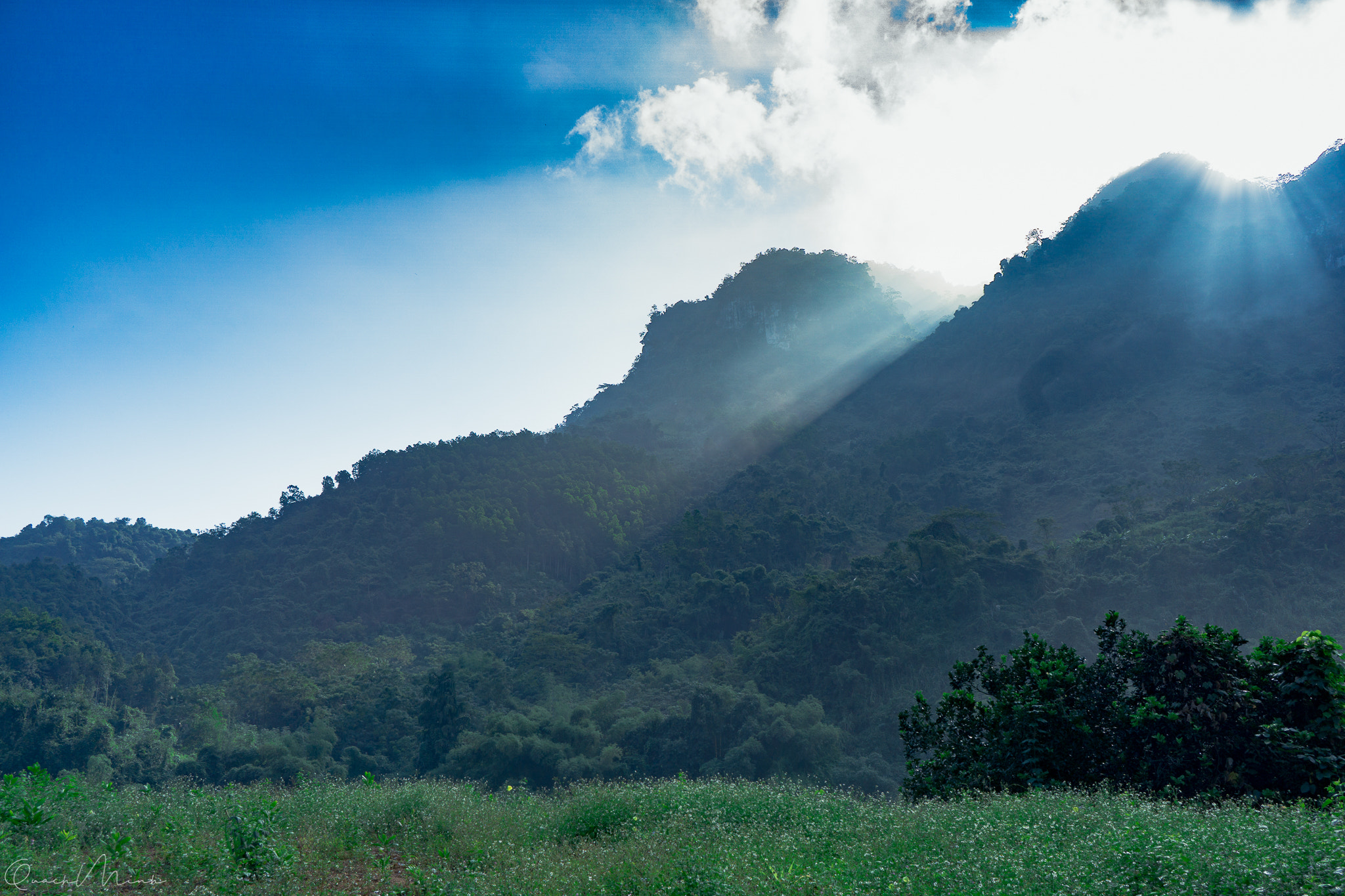 Sony E 20mm F2.8 sample photo. Minh quach portfolio photography