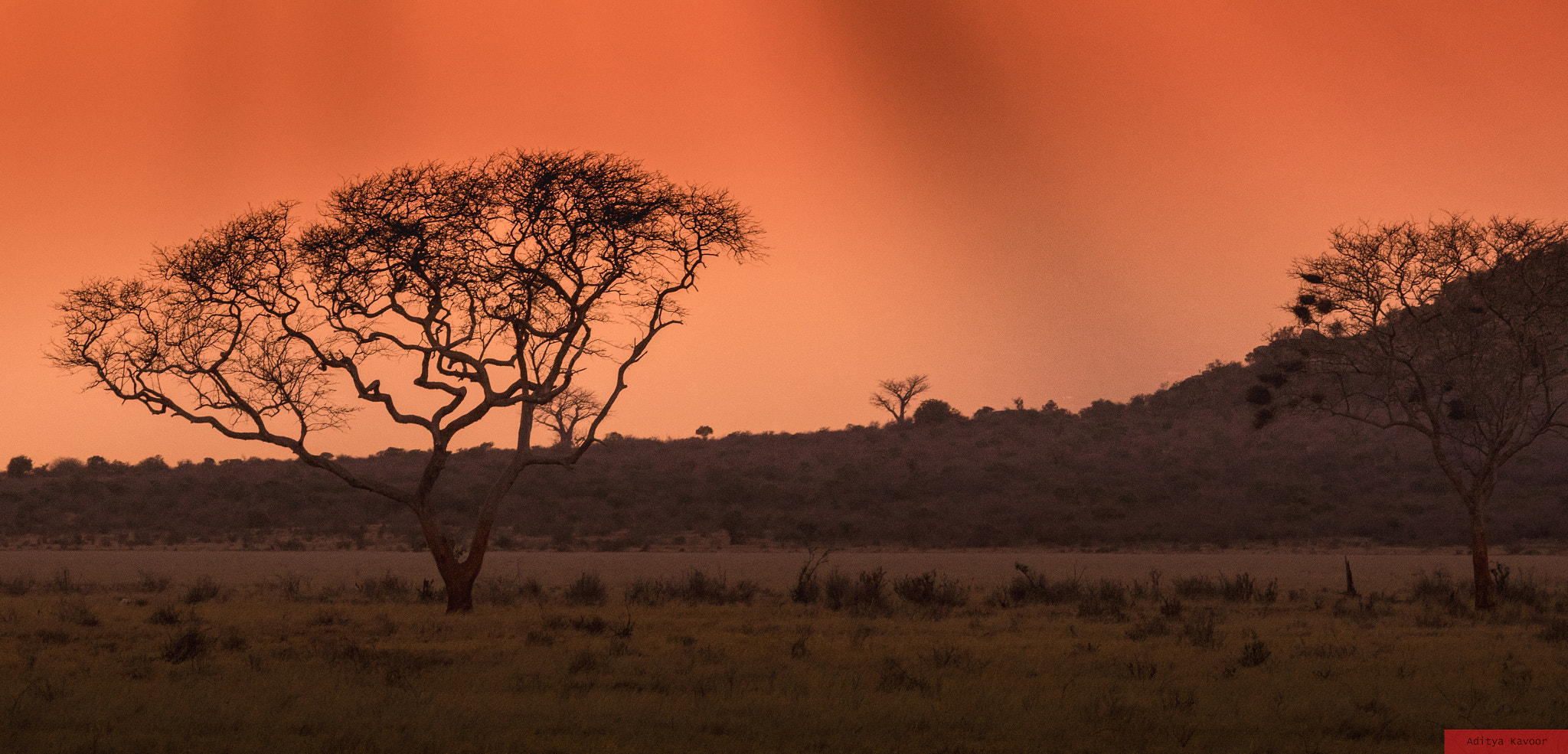 Canon EOS 7D Mark II + Sigma 150-500mm F5-6.3 DG OS HSM sample photo. An african sunset photography