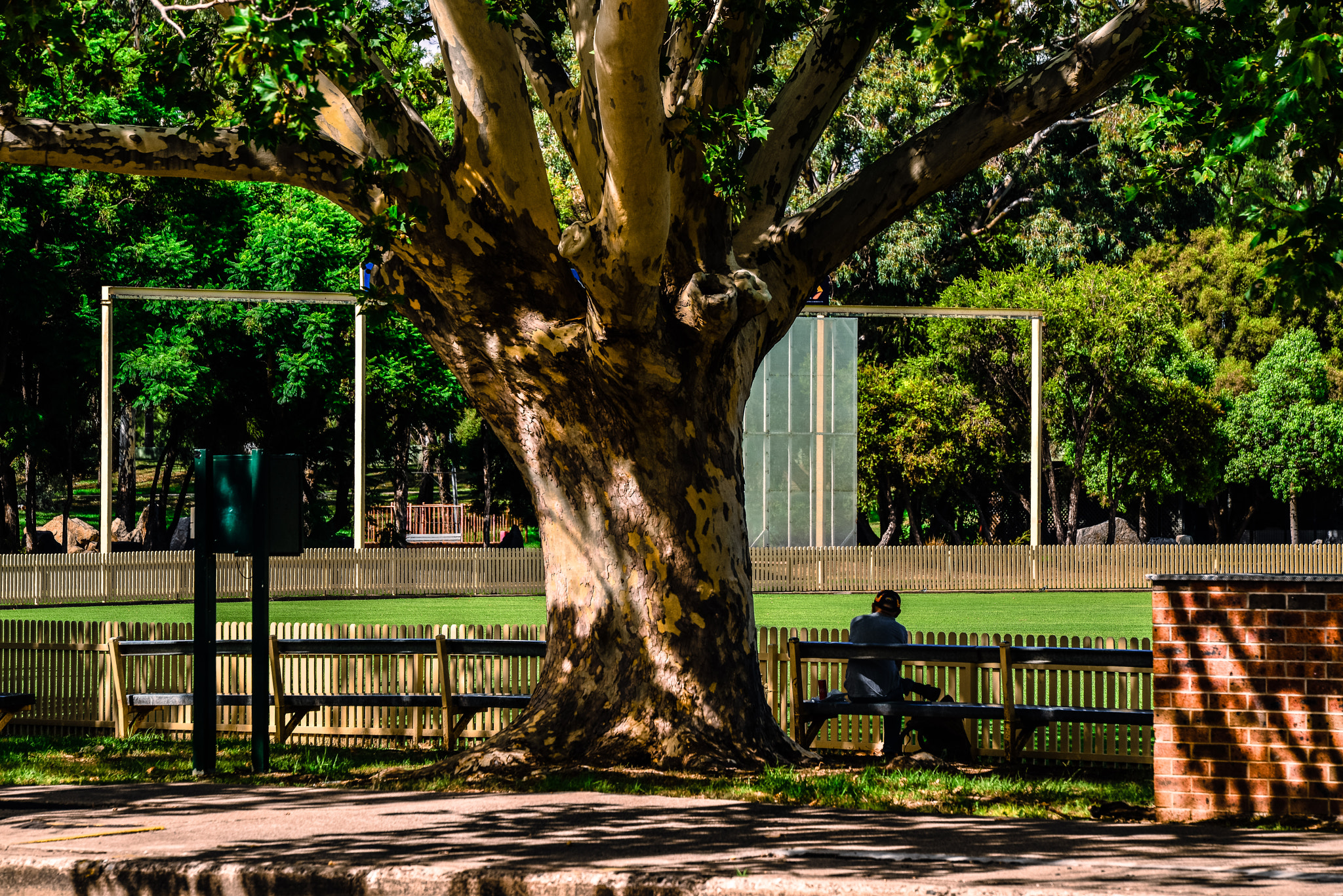Nikon AF-S Nikkor 70-200mm F2.8G ED VR II sample photo. 寧靜時刻 photography