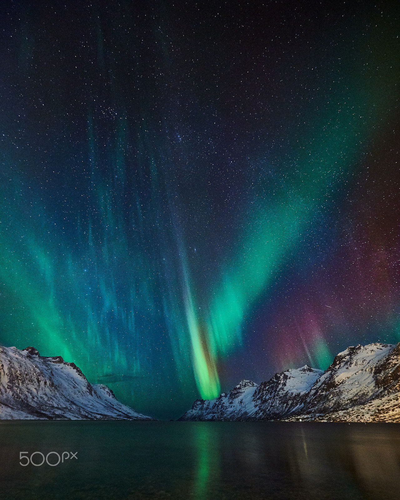 Nikon AF-S Nikkor 14-24mm F2.8G ED sample photo. Northern lights over ersfjorden iv photography