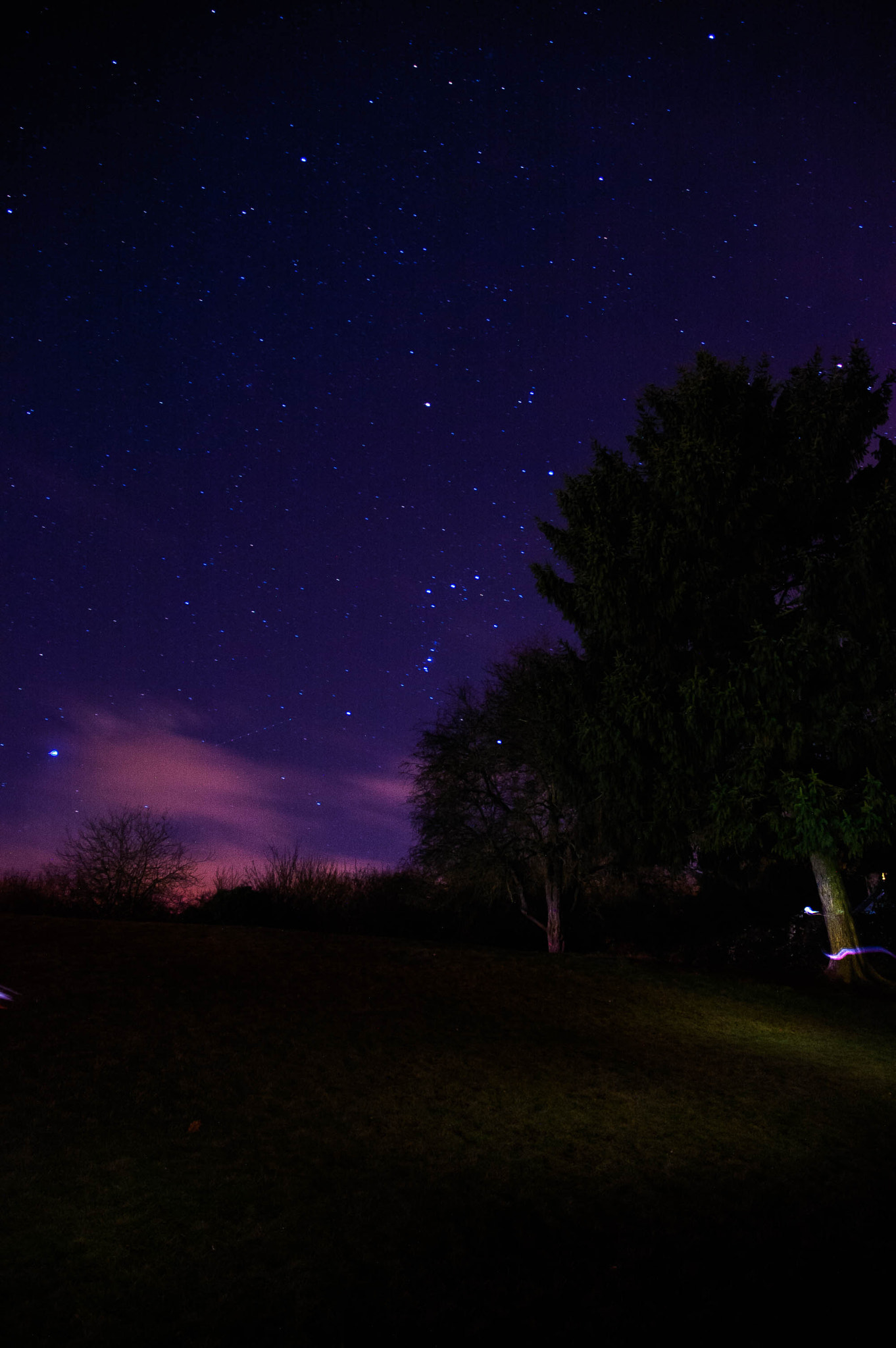 Nikon D50 sample photo. Night sky, stars photography