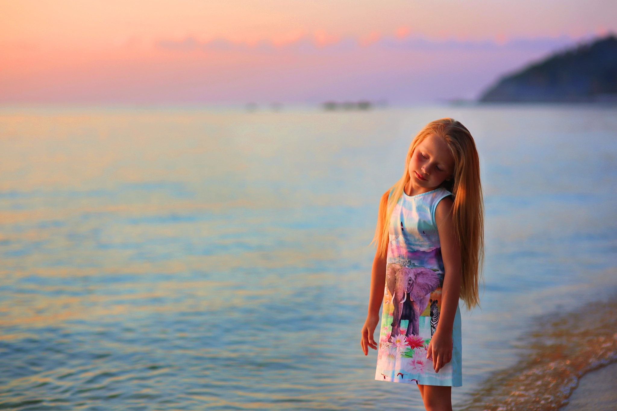 Sigma 85mm F1.4 EX DG HSM sample photo. On the sunset photography