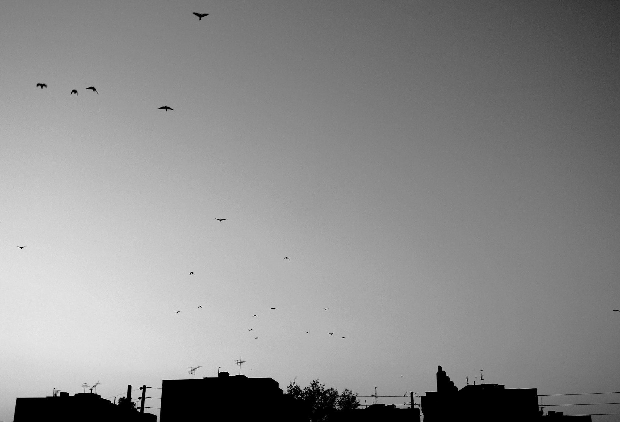 Canon EOS 550D (EOS Rebel T2i / EOS Kiss X4) sample photo. Home sweet home photography