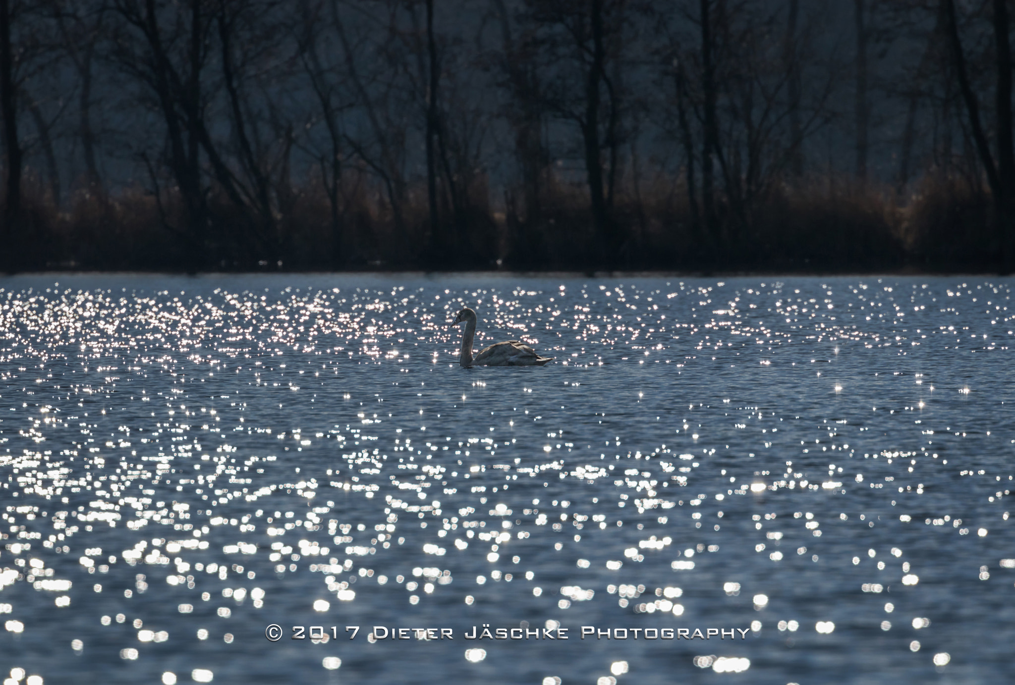 Canon EF 70-300mm F4-5.6L IS USM sample photo. Sparkling lake photography