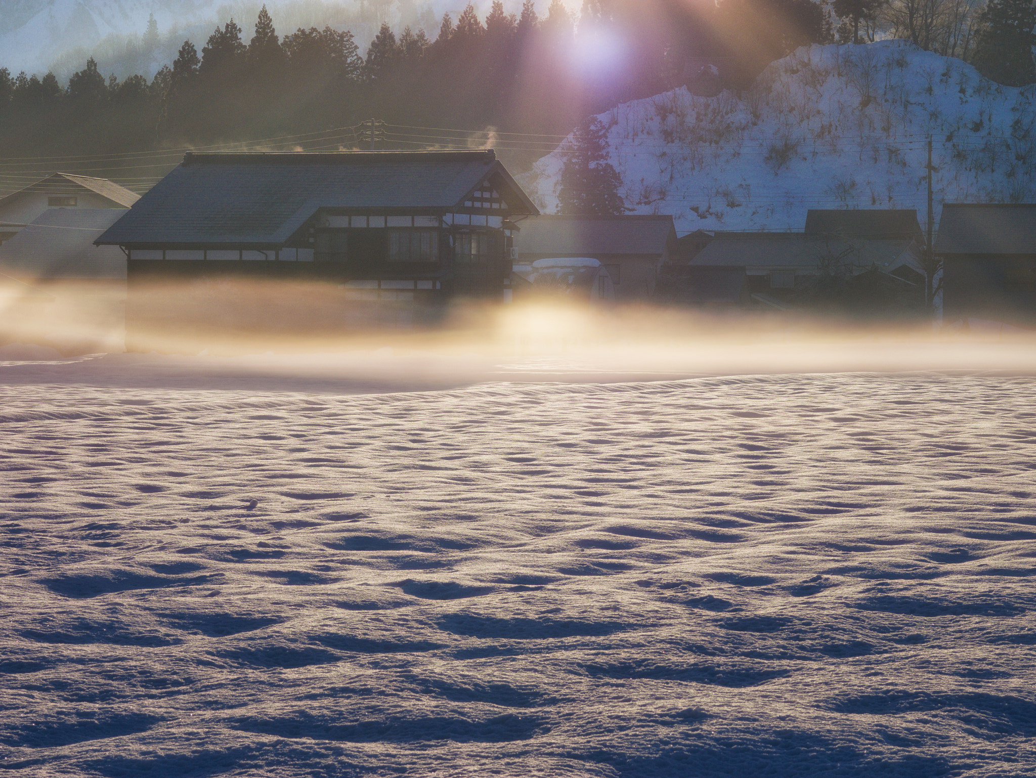 Panasonic Lumix DMC-G7 + Sigma 60mm F2.8 DN Art sample photo. Sunday morning photography